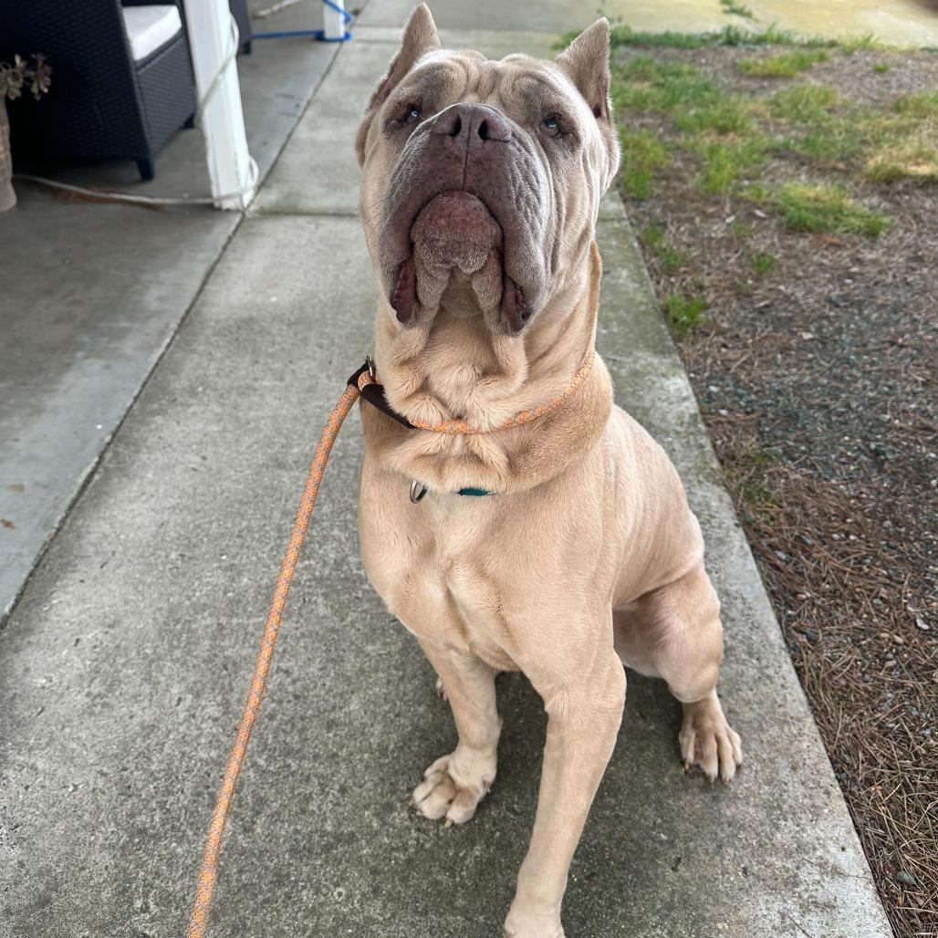 Hercules thumbnail 2