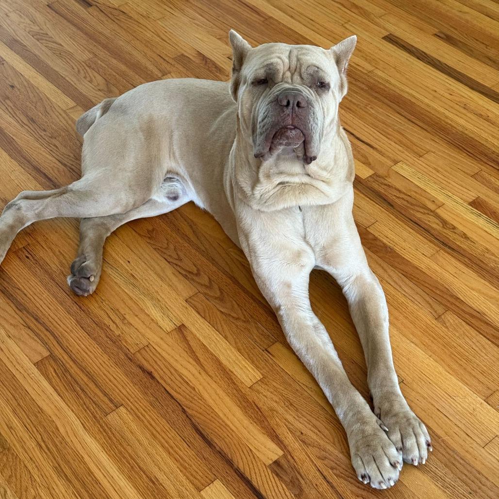 Hercules thumbnail 4