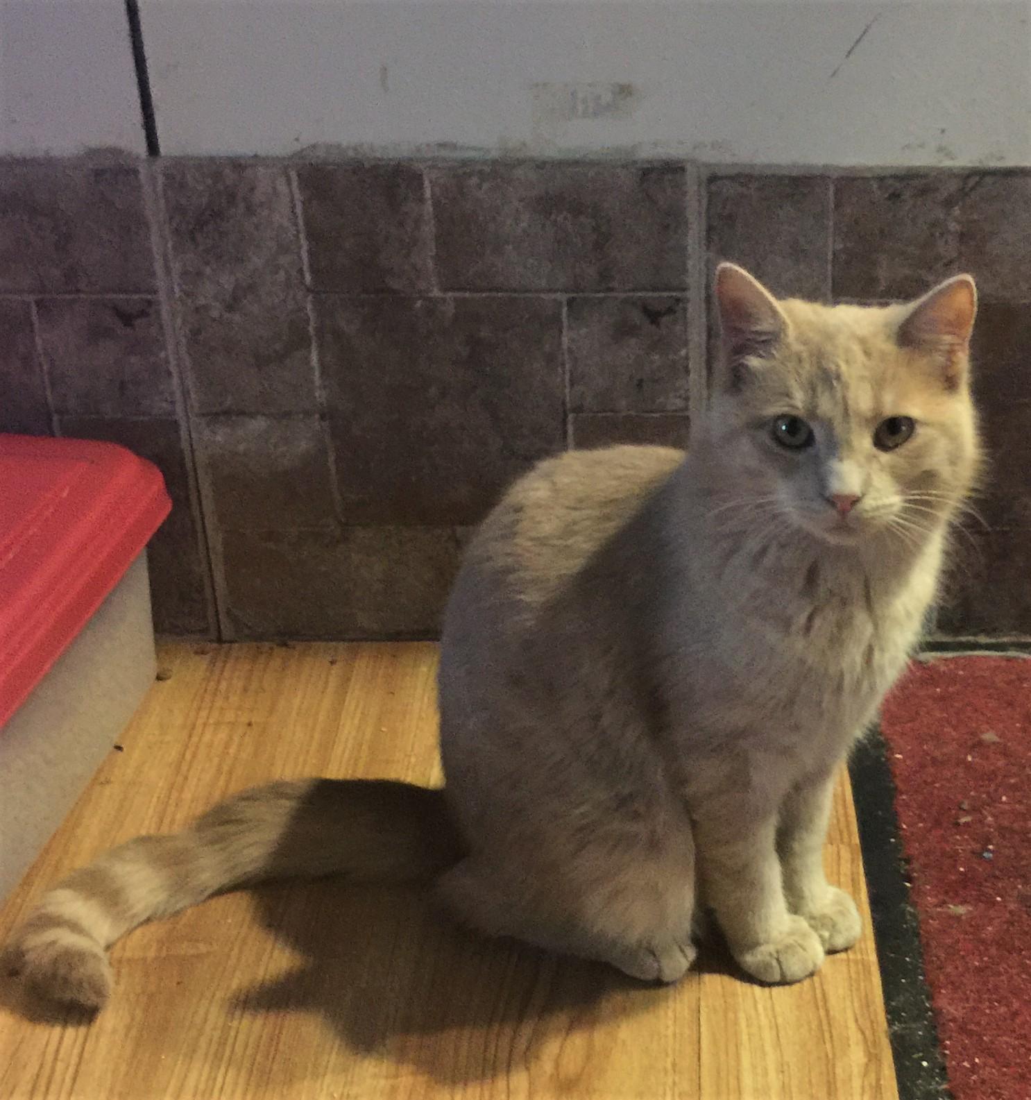 Butters — thumbnail 2