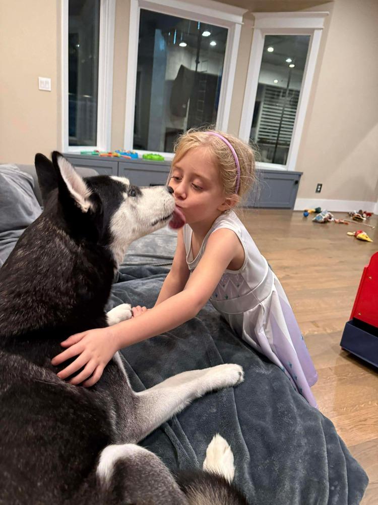 Enlarge Winter, a Adoptable mixed breed in Saugus, MA image 6/6