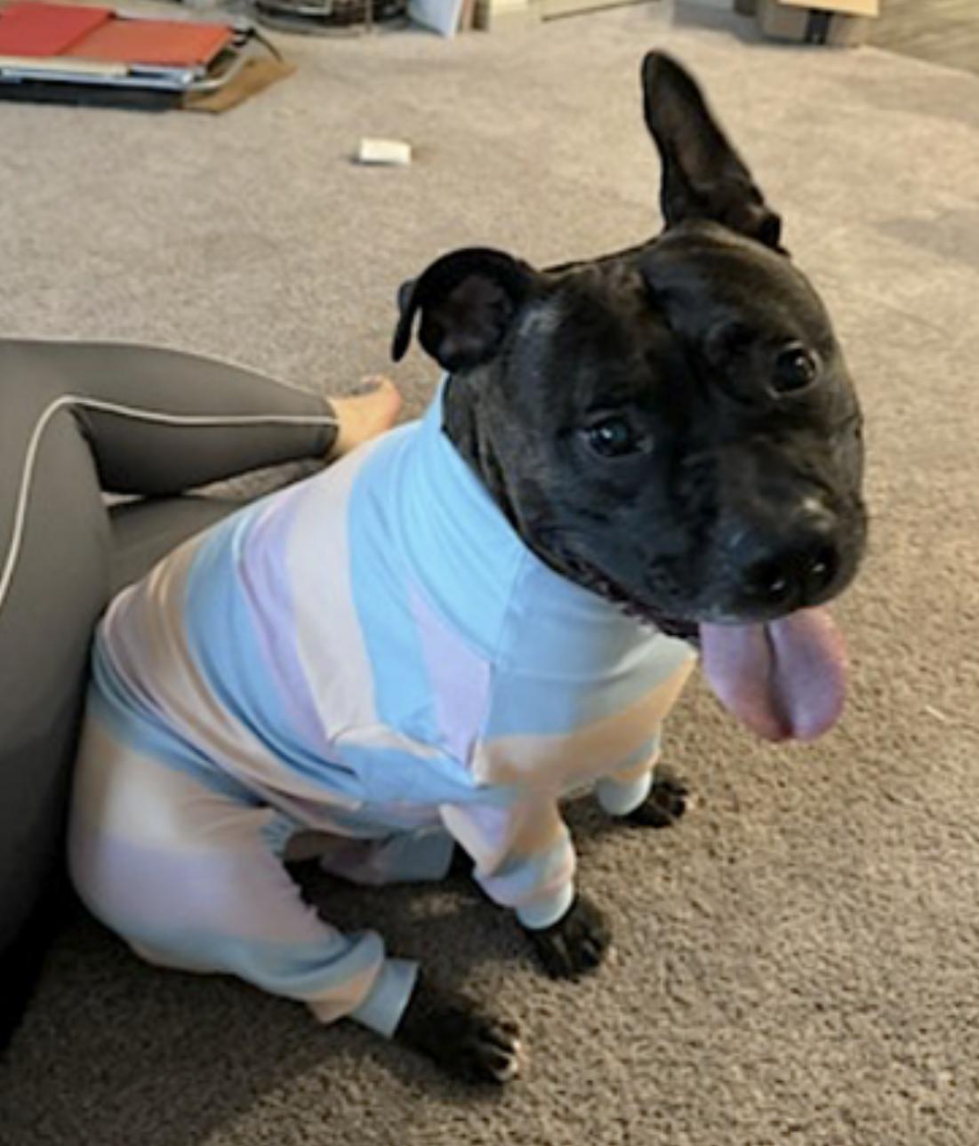 Hexum — thumbnail 4