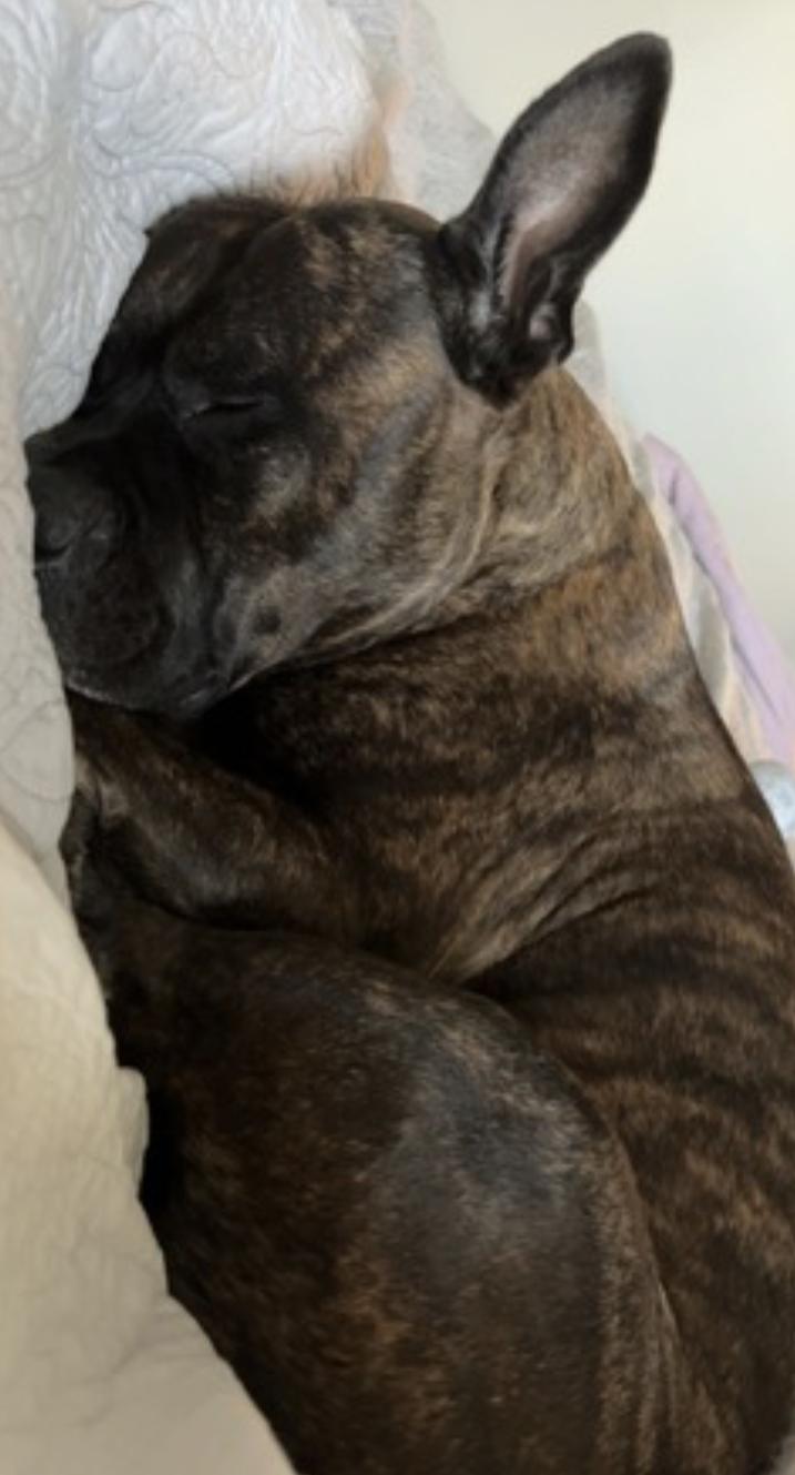 Hexum — thumbnail 5