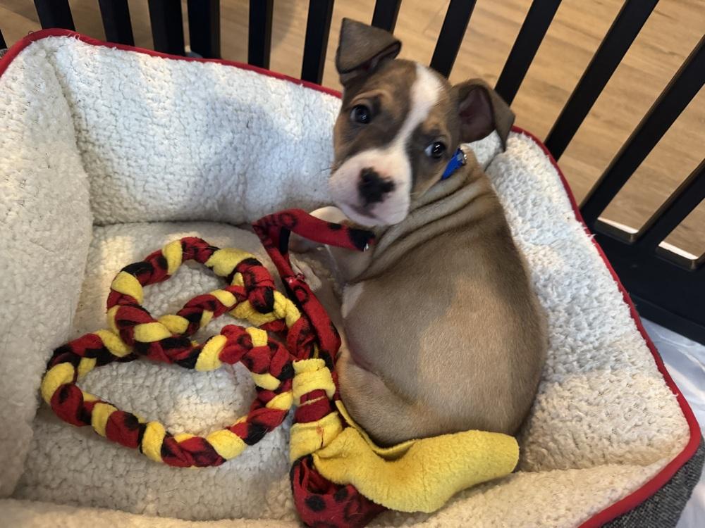 Chambord — thumbnail 2