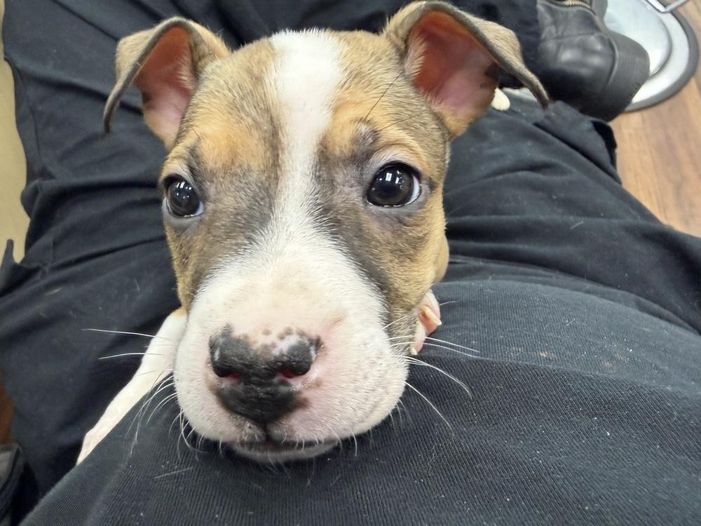 Chambord — thumbnail 6