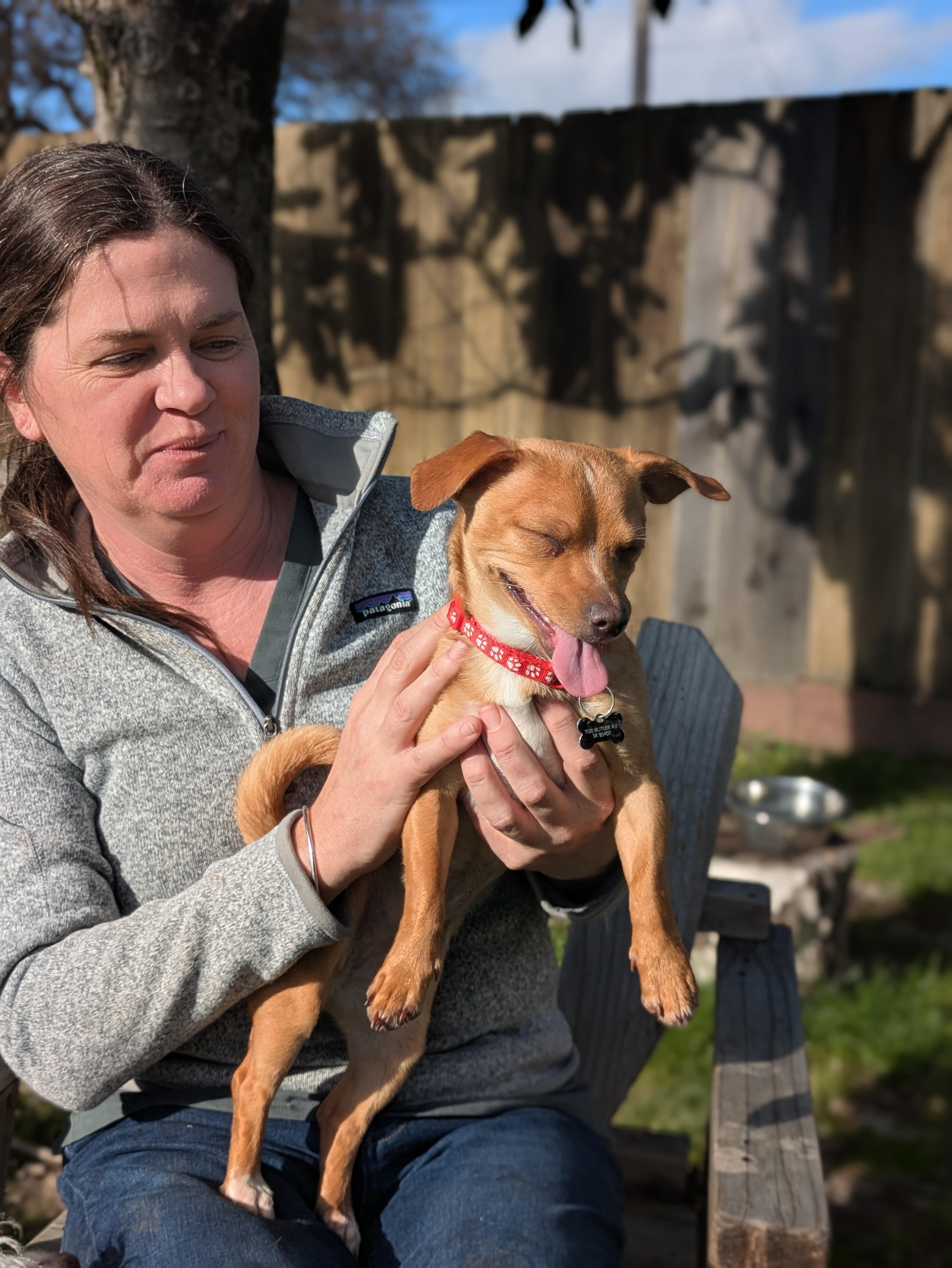 Enlarge Cashew, an adopted mixed breed in Santa Rosa, CA image 4/4