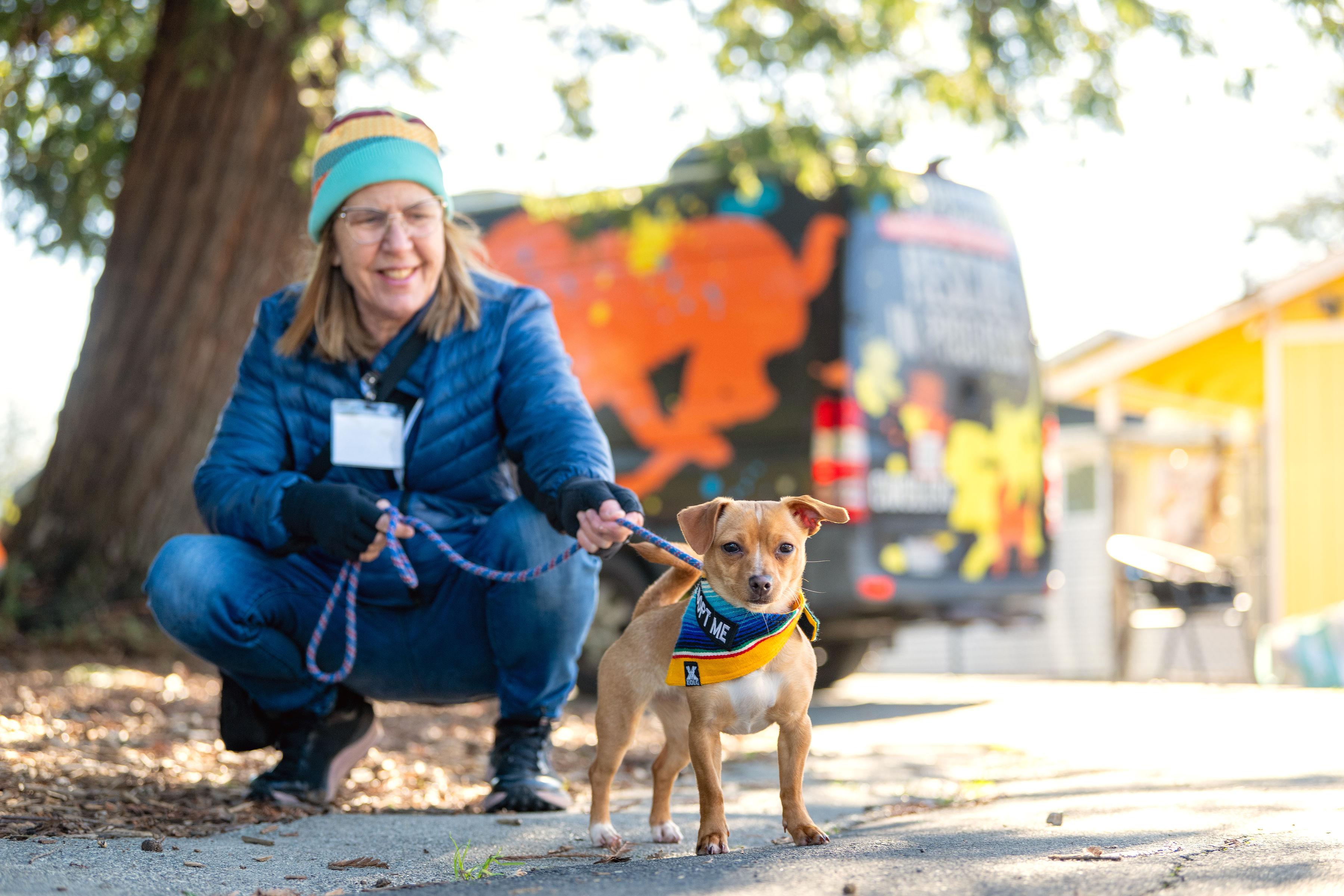 Enlarge Cashew, an adopted mixed breed in Santa Rosa, CA image 3/4