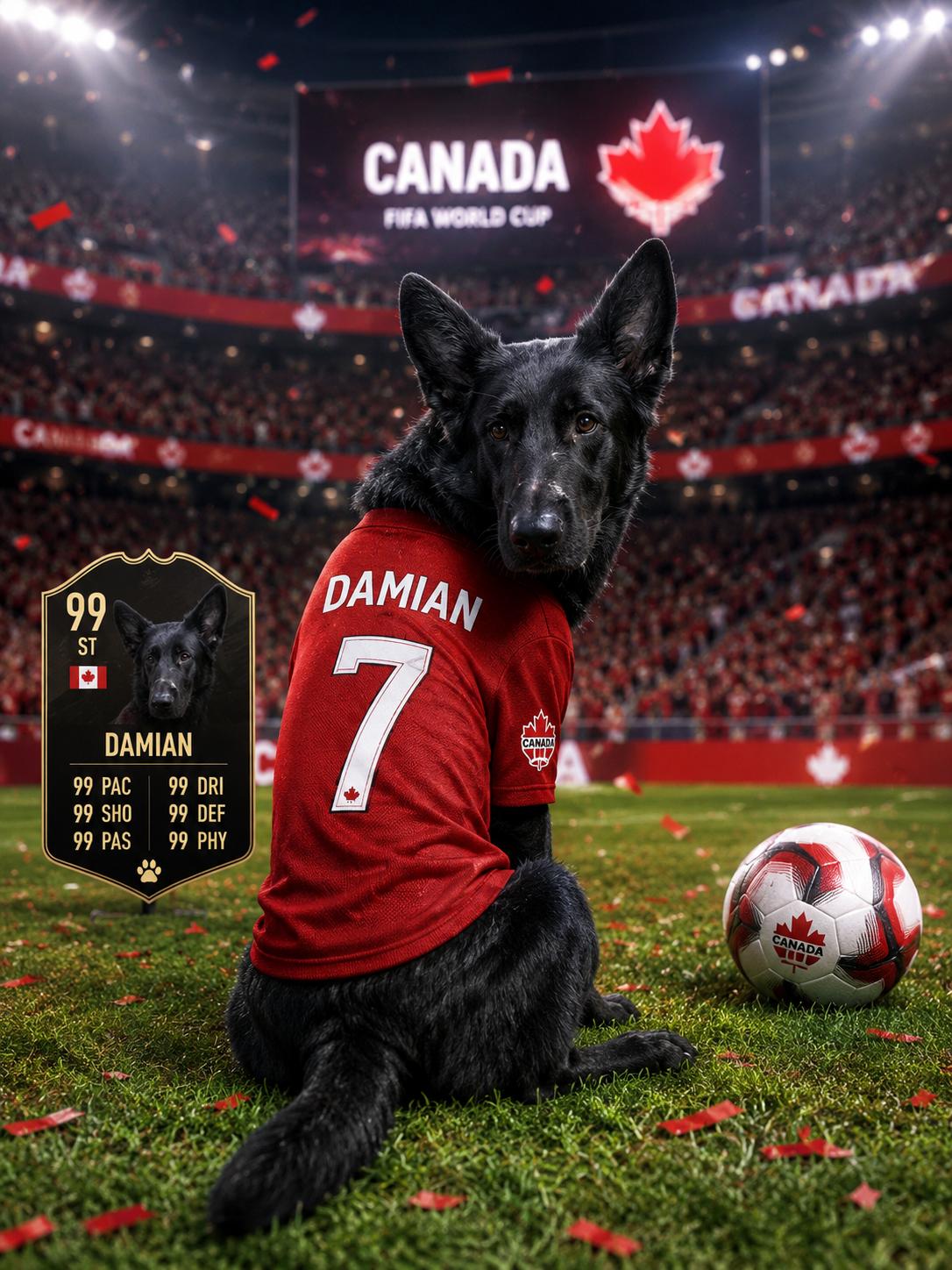 Enlarge Damian- Reduced Adoption Fee, a ADOPTABLE German Shepherd Dog in Mississauga, ON image 1/6