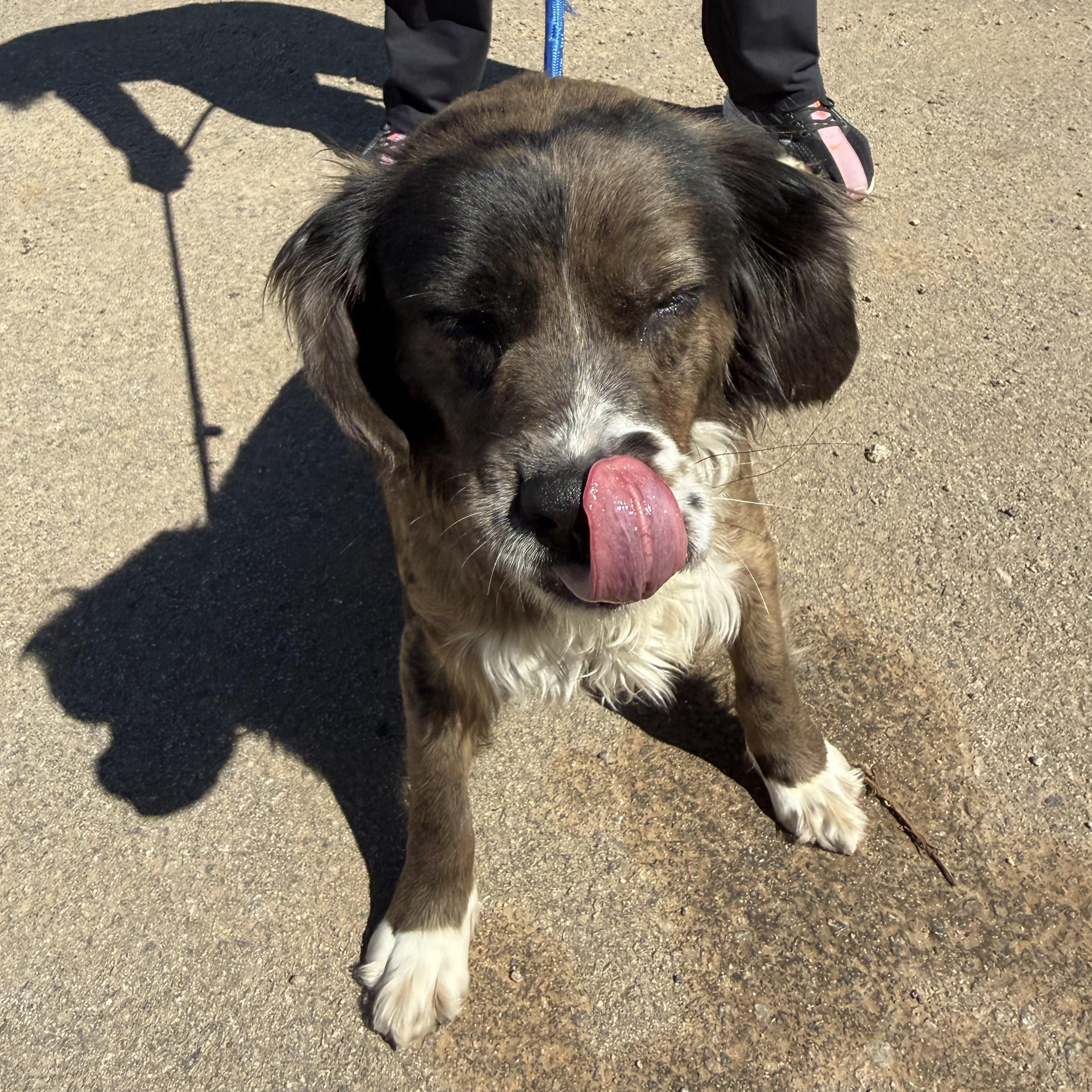 Hershey — thumbnail 2