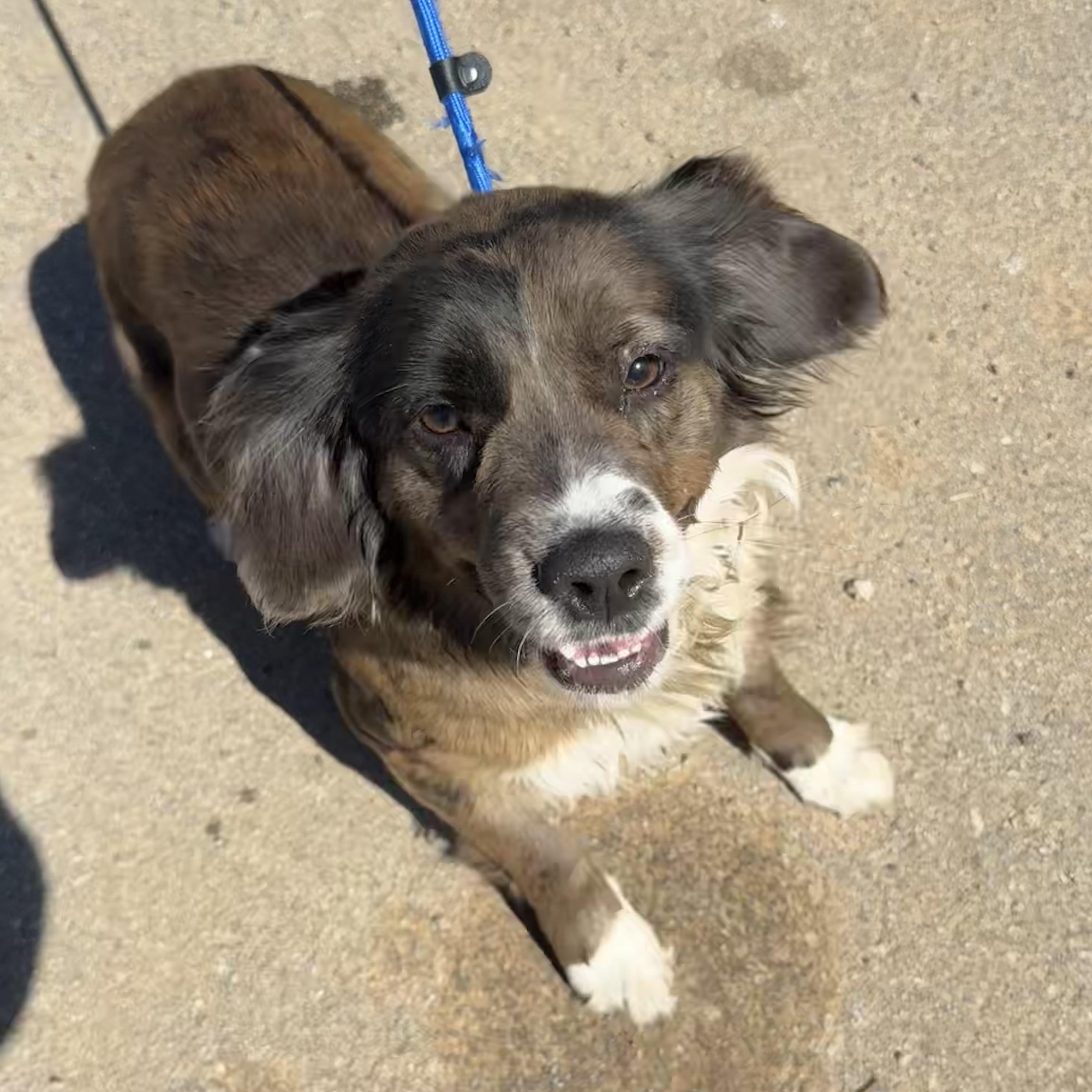 Hershey — thumbnail 3