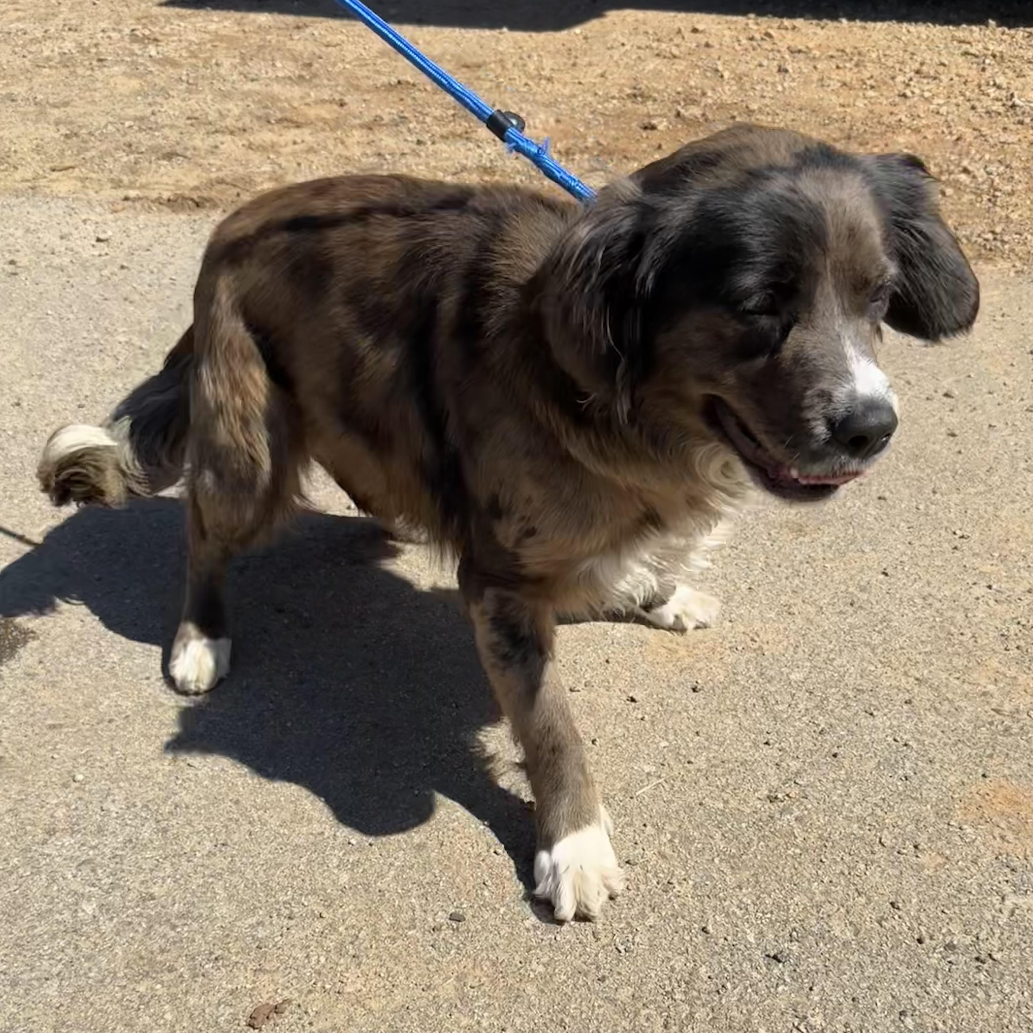 Hershey — thumbnail 4