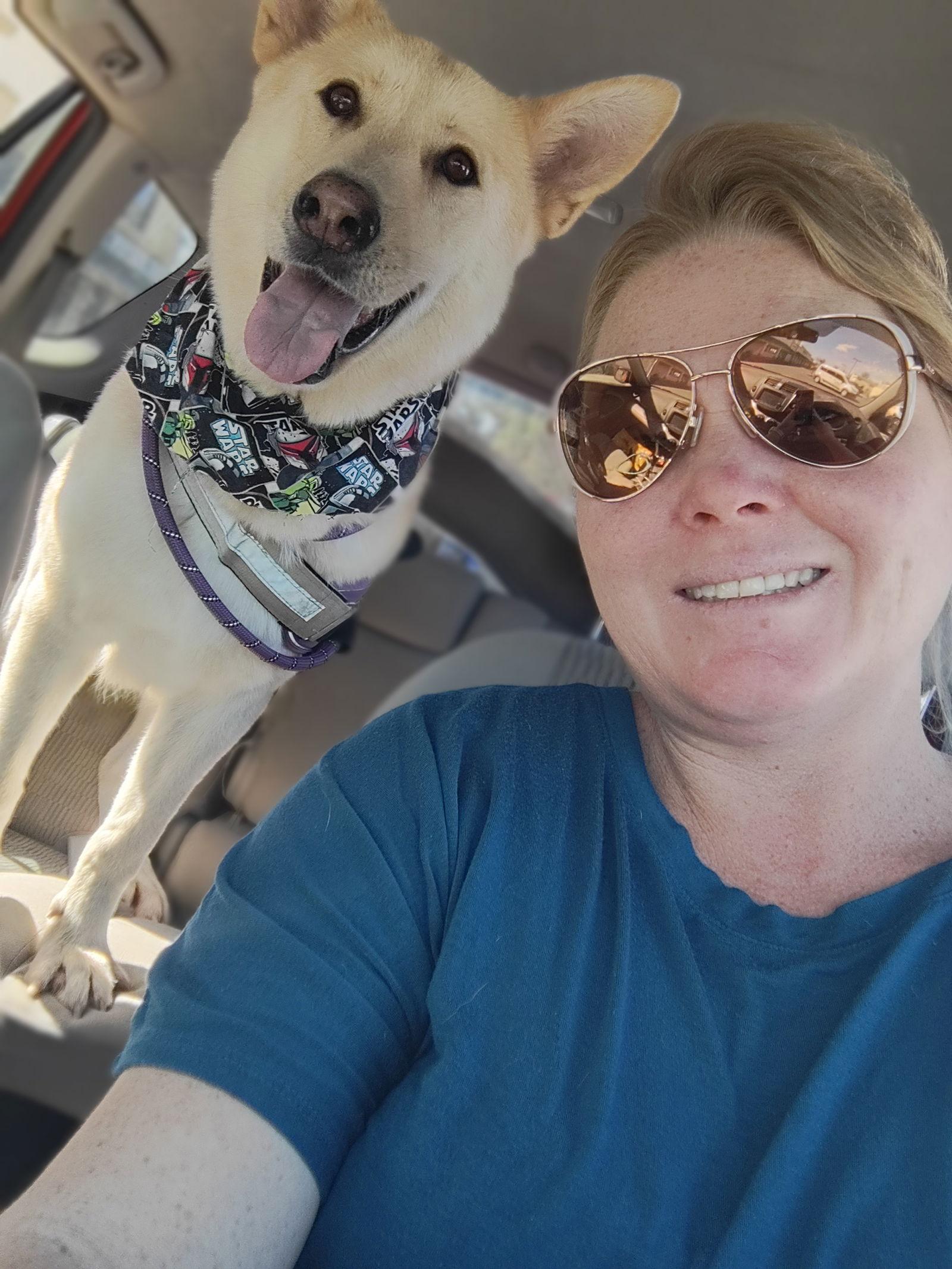 Beauty, Adopted, Young Female Shepherd & Labrador Retriever.