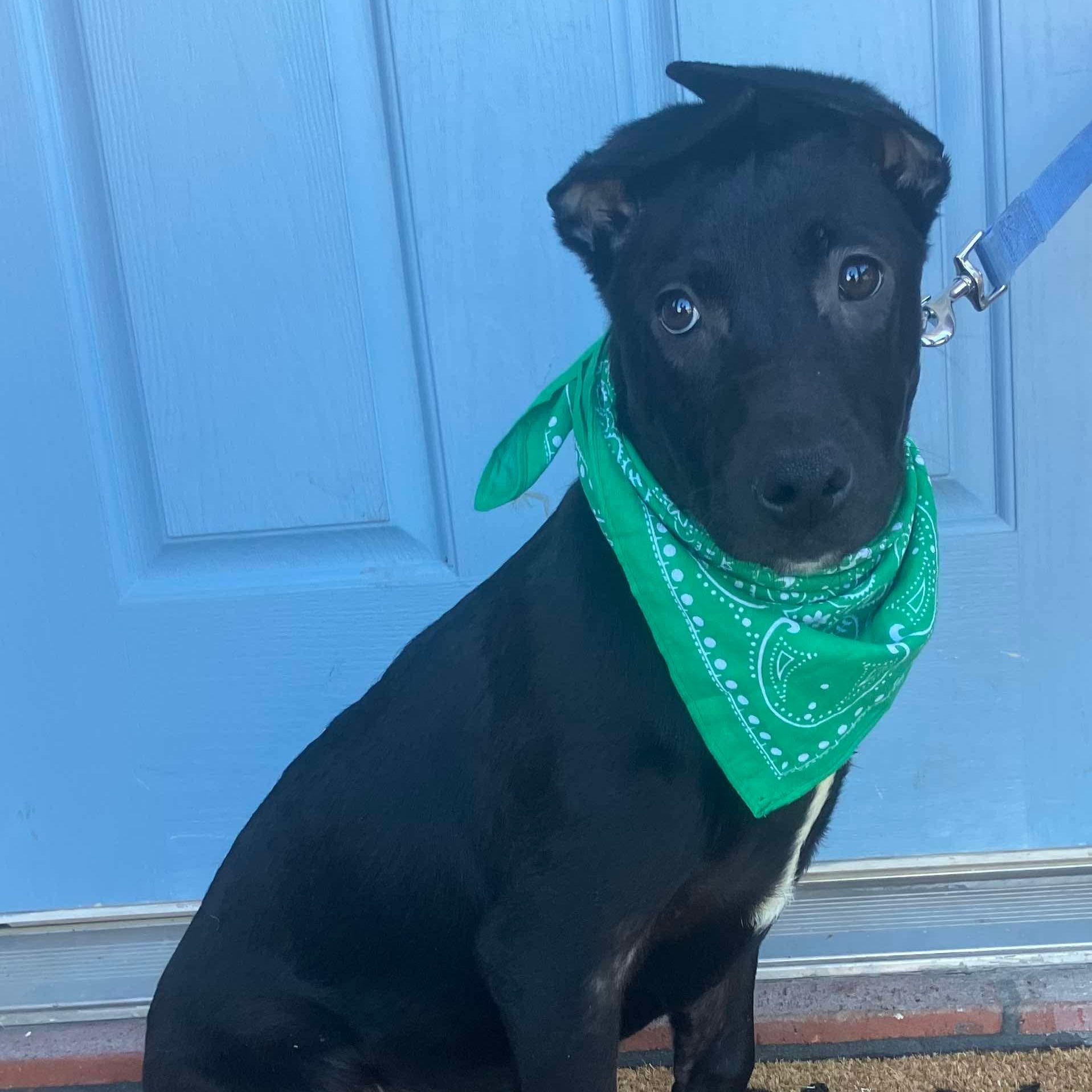 Terri — thumbnail 6