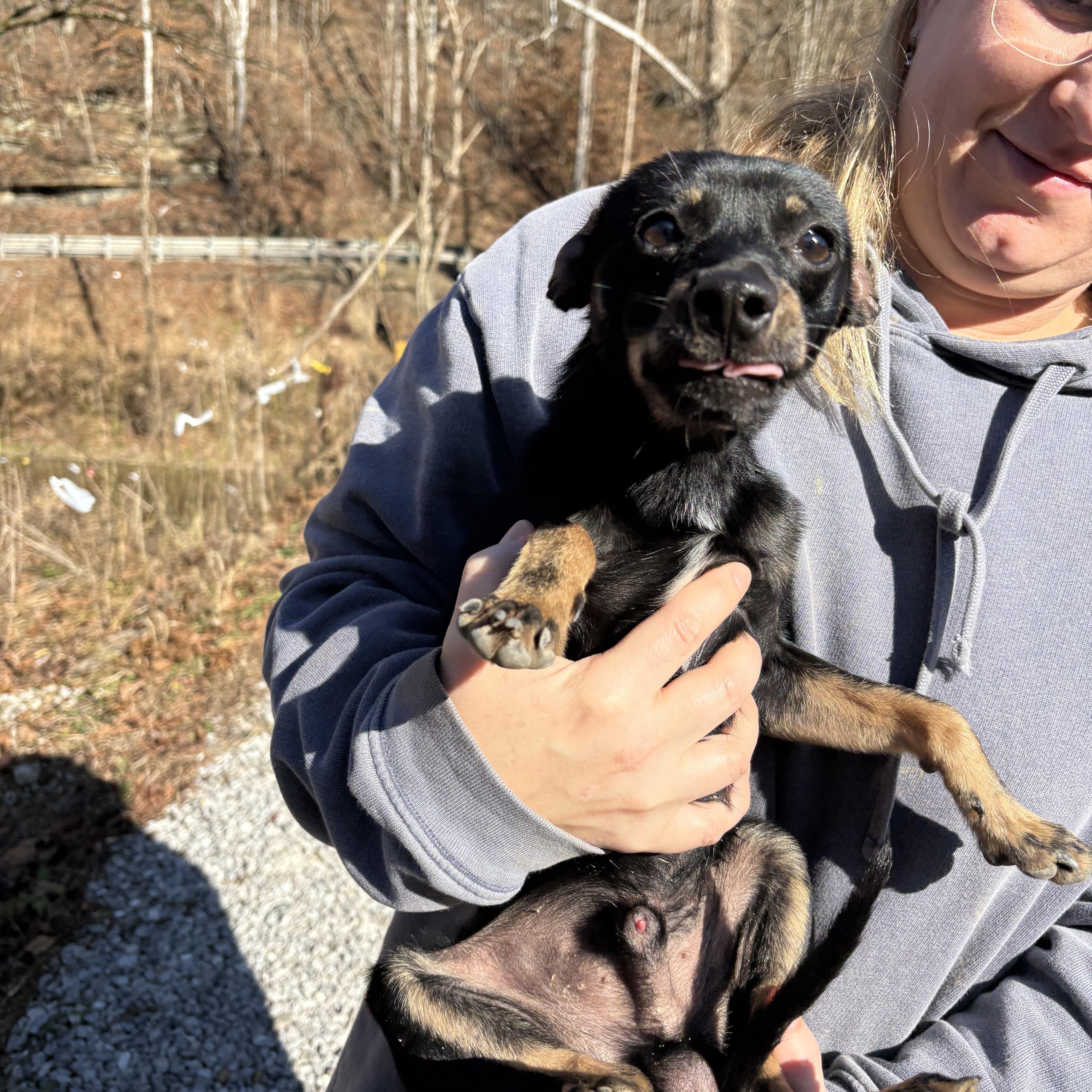 Jiminy Christmas thumbnail 2