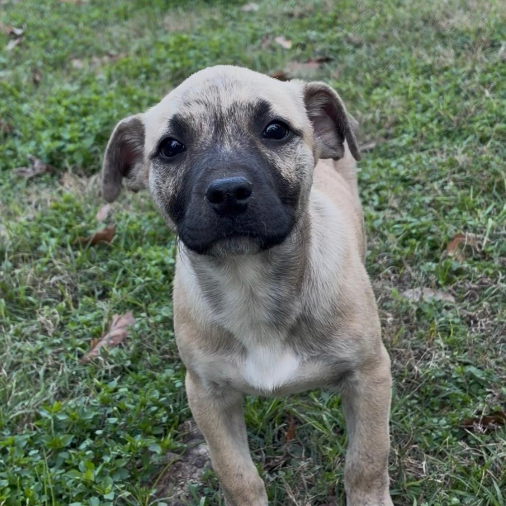 Milly — thumbnail 2