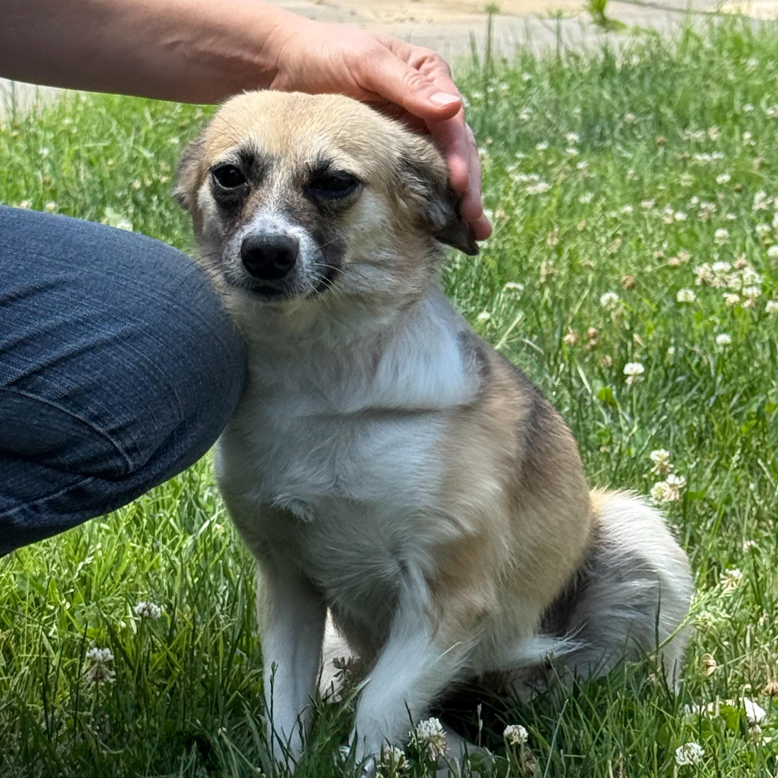 Princess photo 3