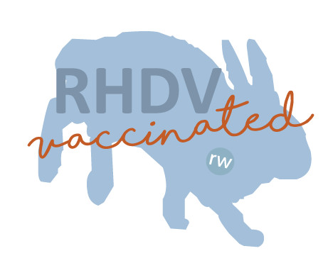 Enlarge Bruce Leah, a Adoptable Lionhead in Pittsburgh, PA image 3/6