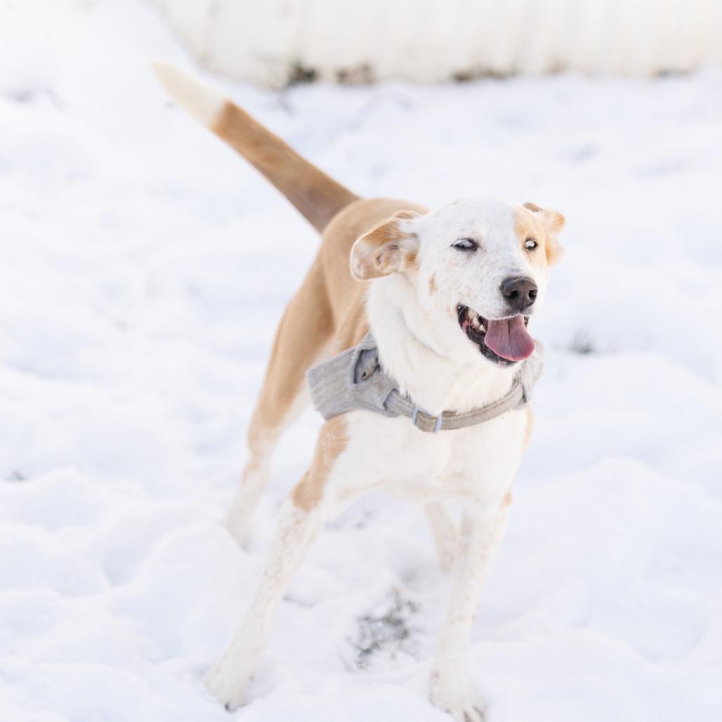 Princess Peach thumbnail 2