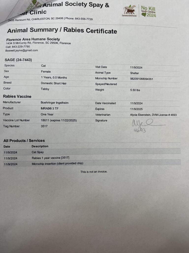 Enlarge SAGE, a Adoptable mixed breed in Florence, SC image 4/5