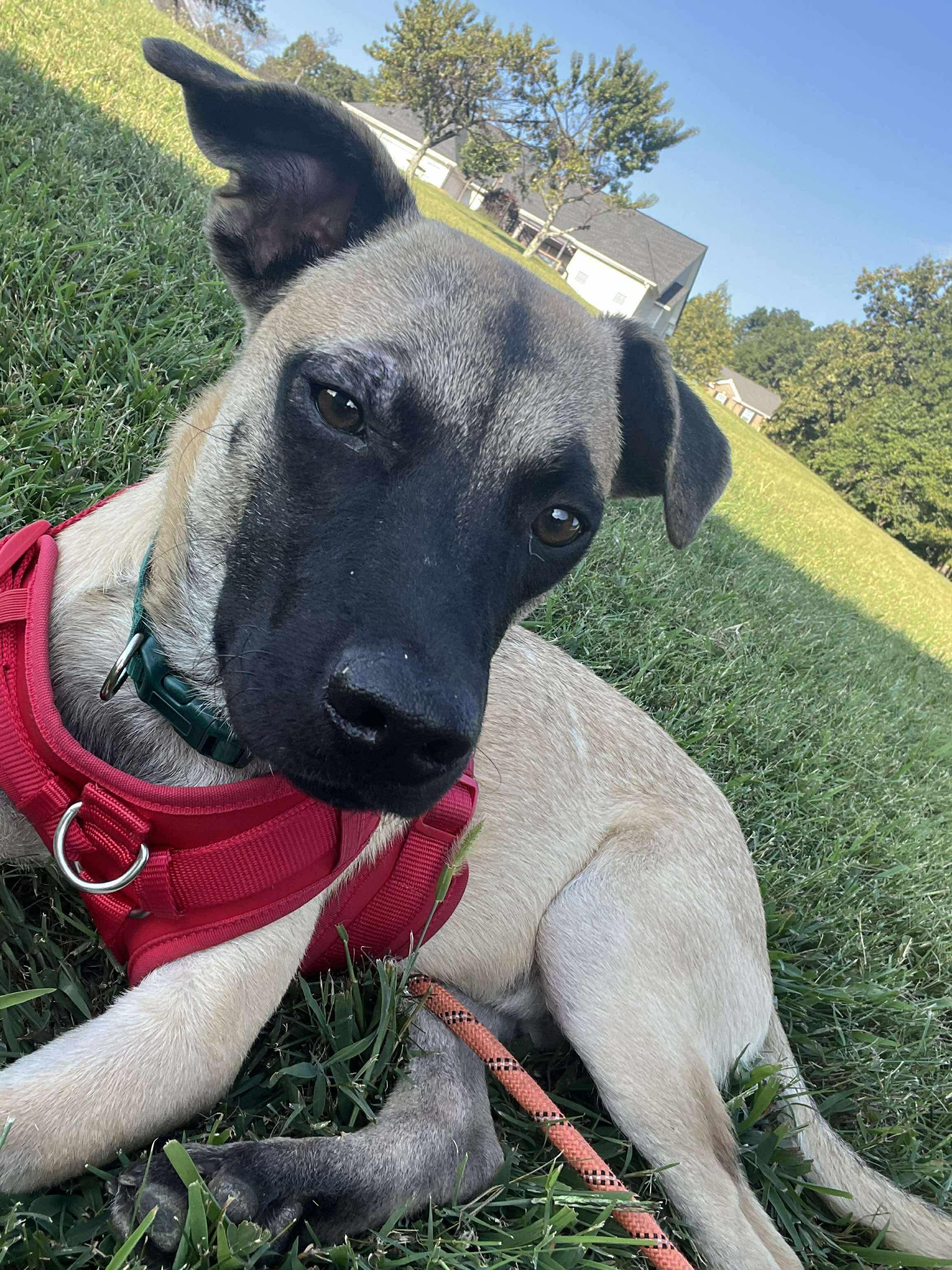 Oakley