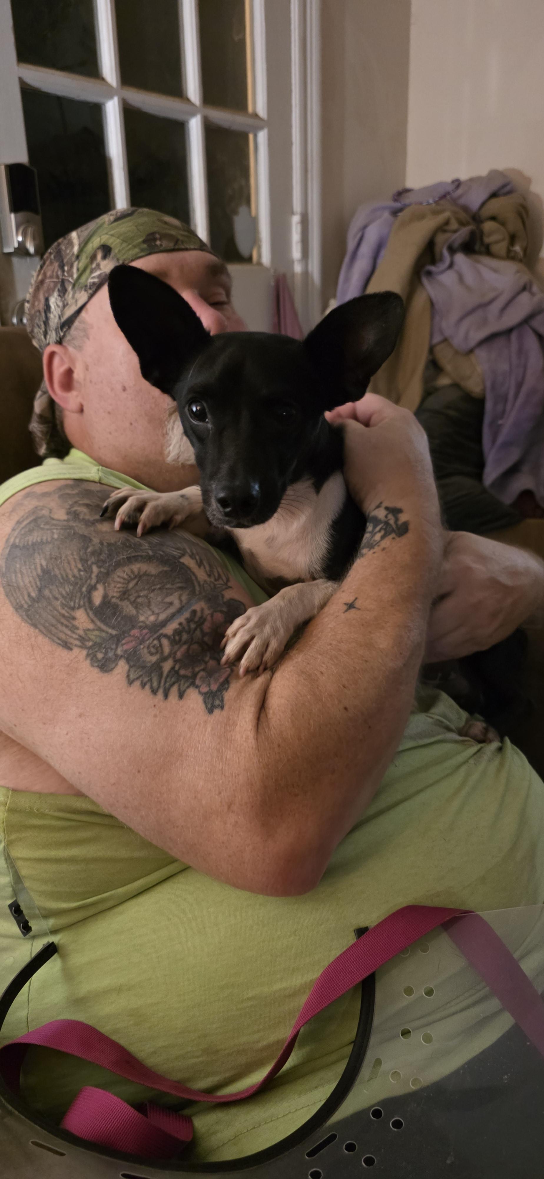 Radar, a Adoptable mixed breed in Baker, LA image 3/5