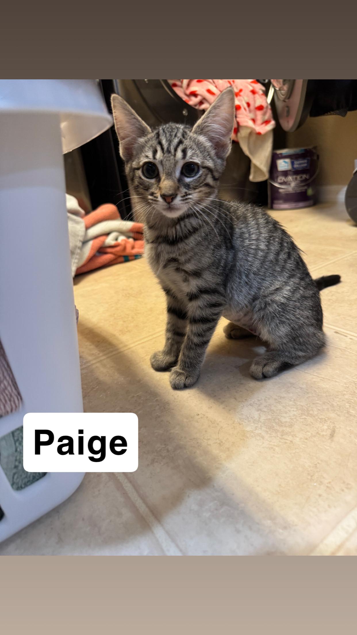Paige photo 3