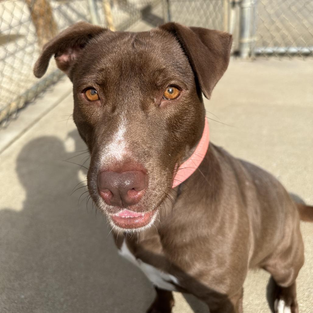 Nellie 7243 — thumbnail 3