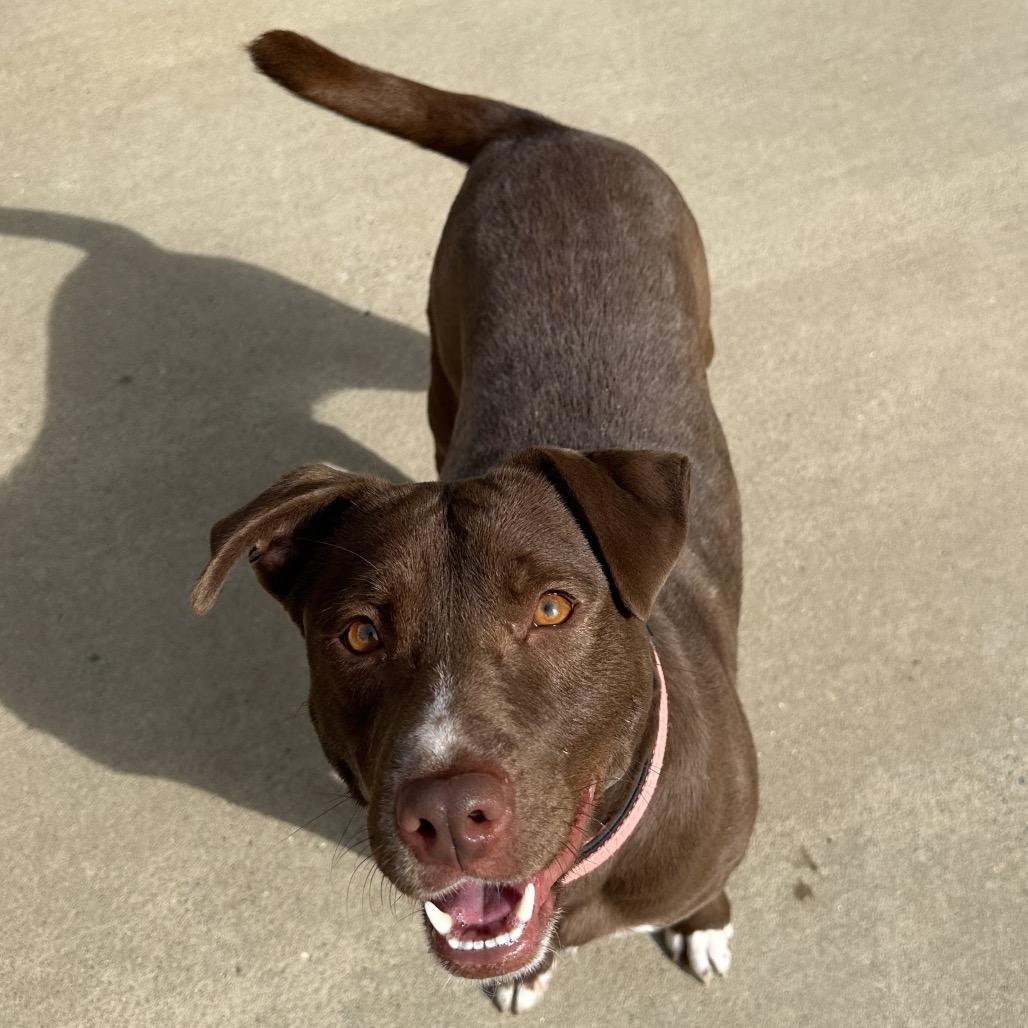 Nellie 7243 — thumbnail 4