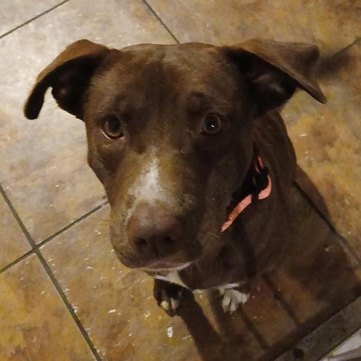 Nellie 7243 — thumbnail 5