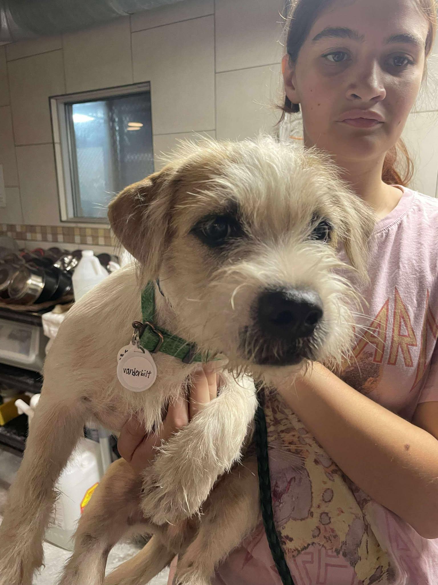 College Kids - Vanderbilt