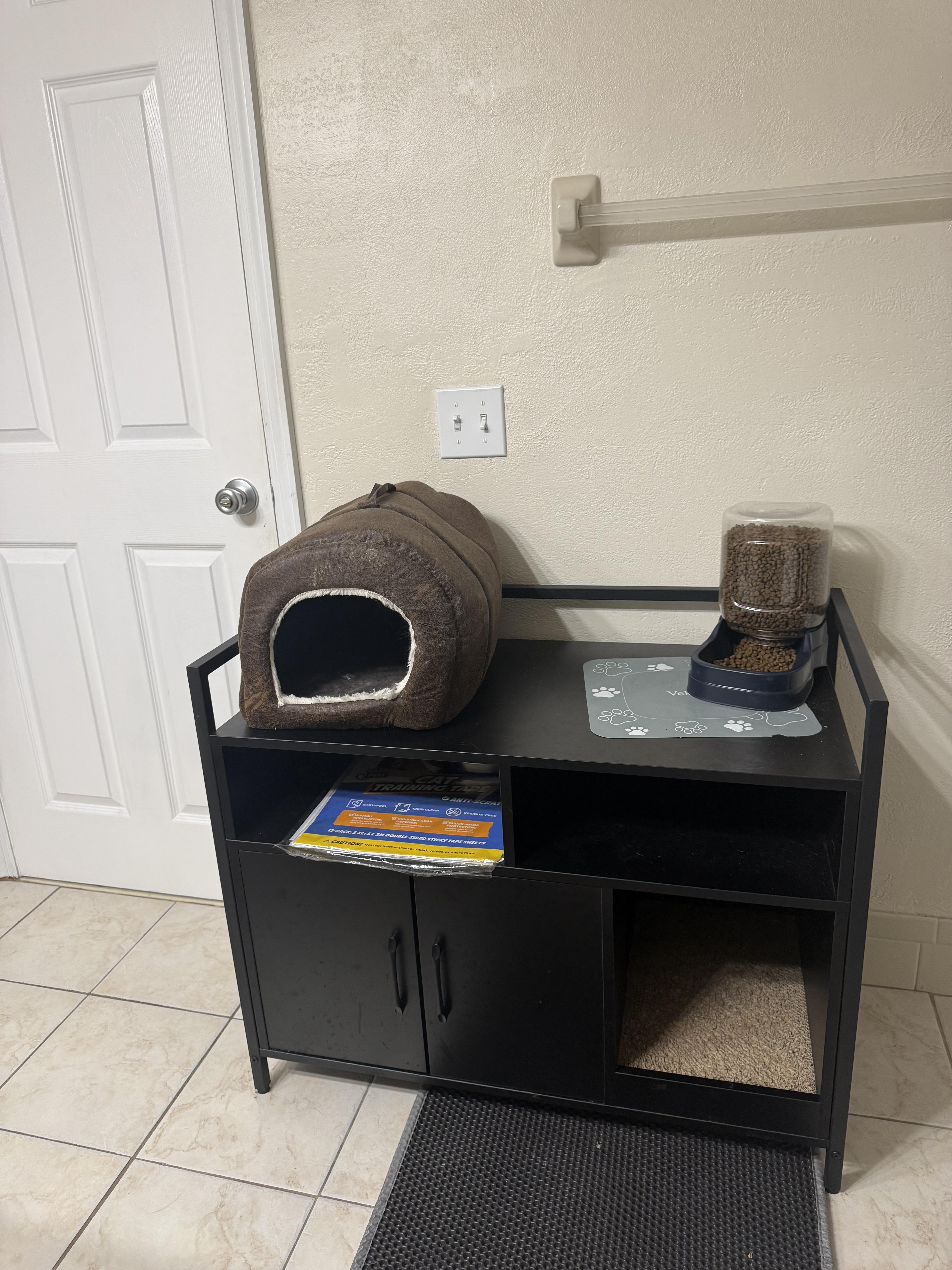 Boots (LONG Fur) SUPPLIES included -, a ADOPTABLE Domestic Long Hair in Port Orange, FL image 5/6