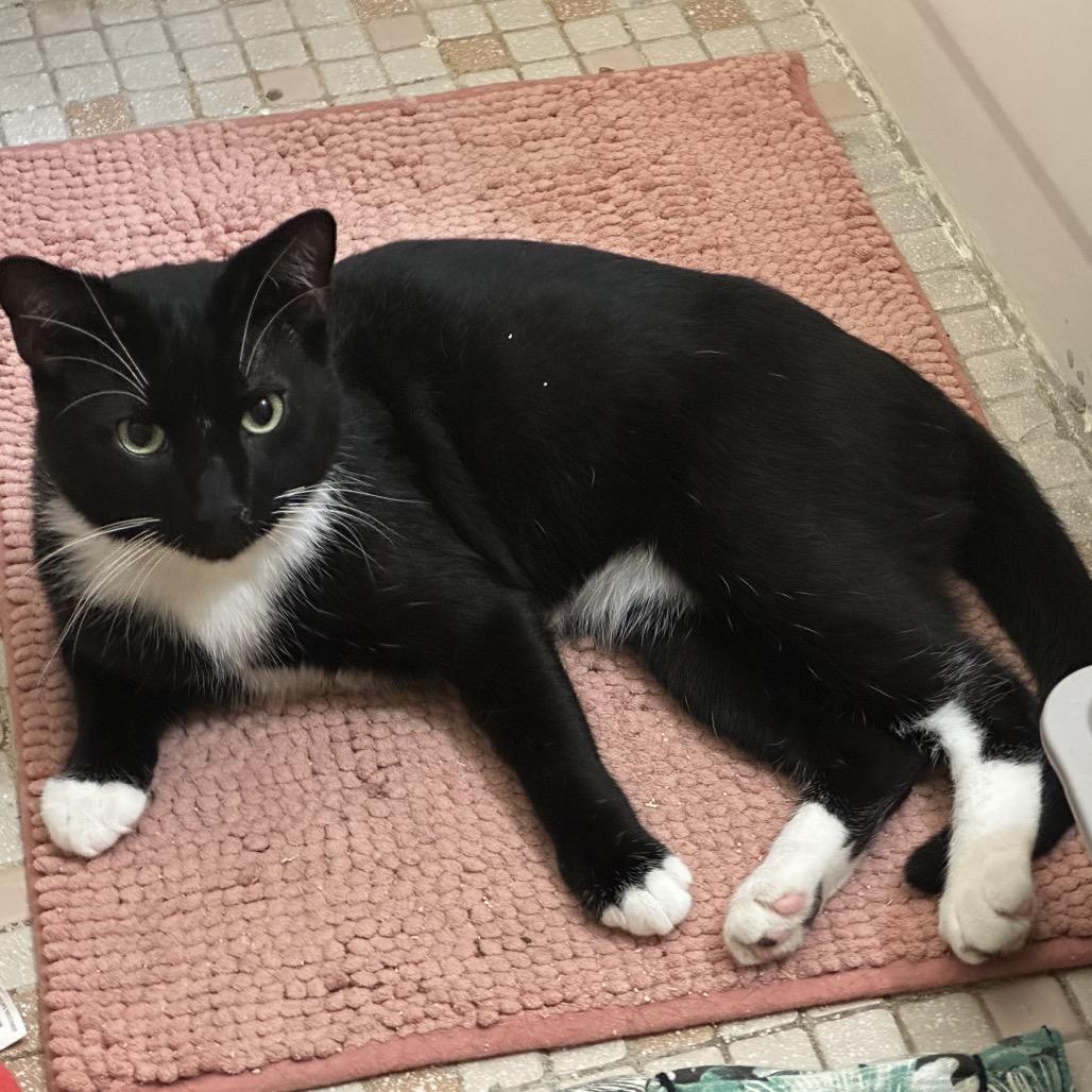 Purr Malone — thumbnail 2