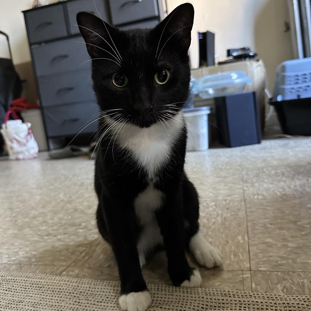 Purr Malone — thumbnail 3