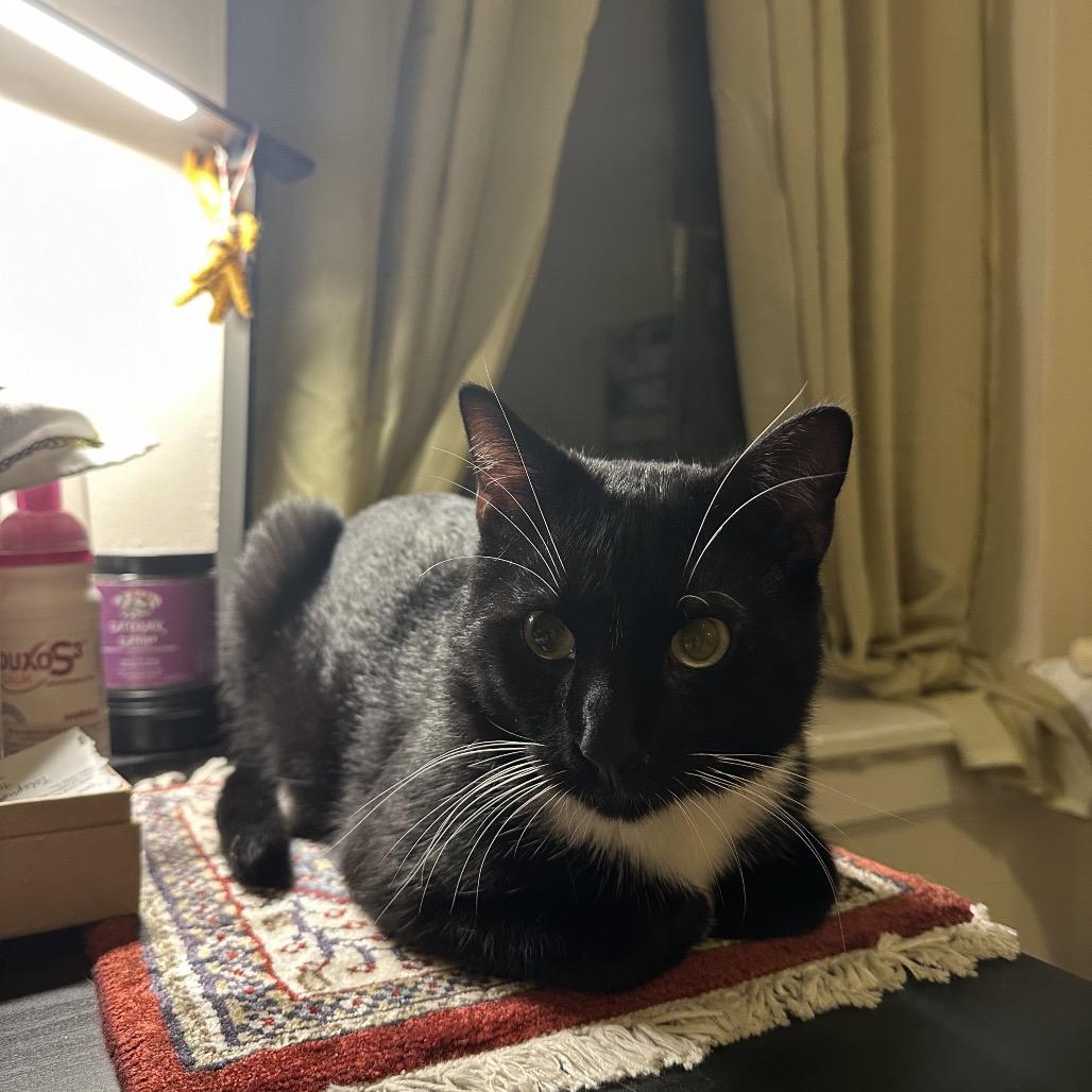 Purr Malone — thumbnail 4