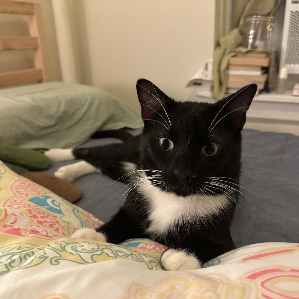 Purr Malone — thumbnail 5