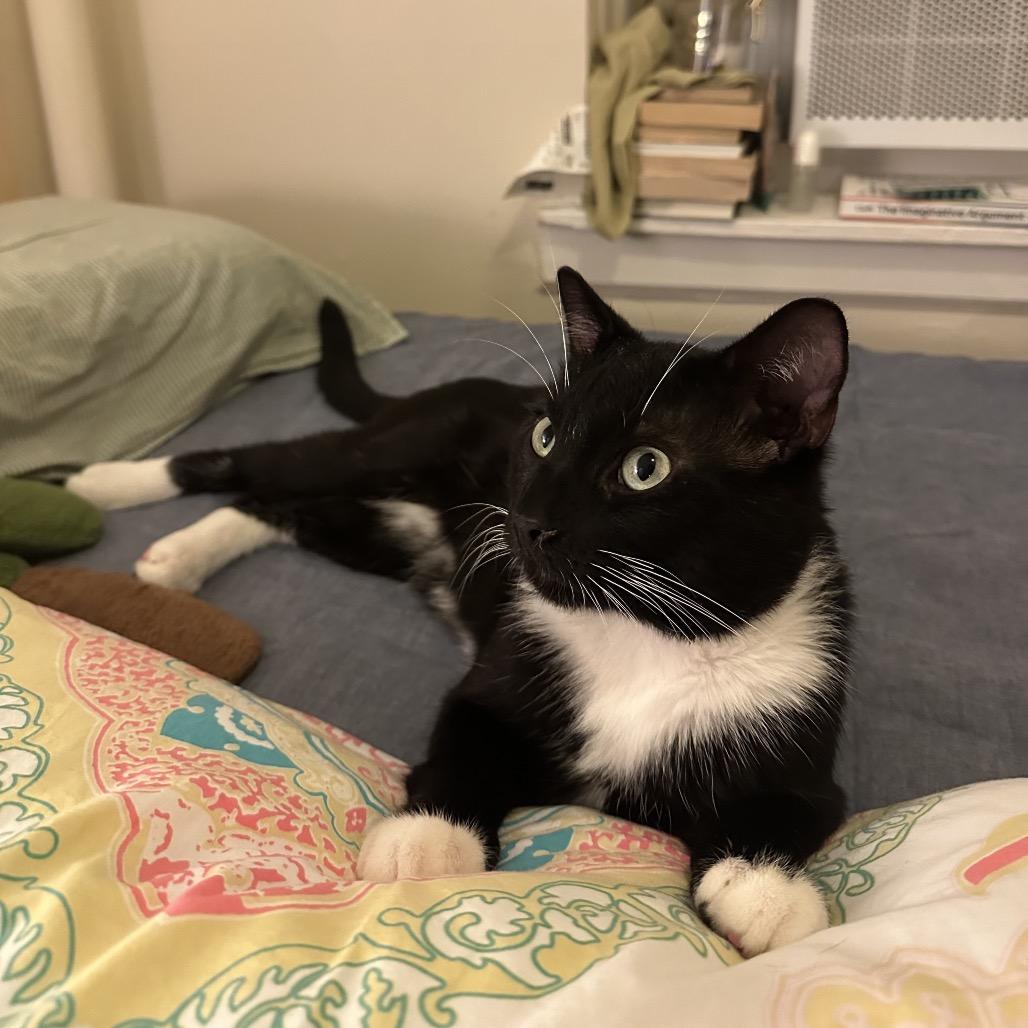 Purr Malone — thumbnail 6