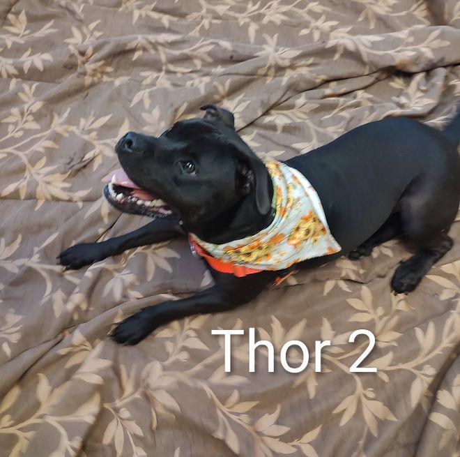 Thor 2