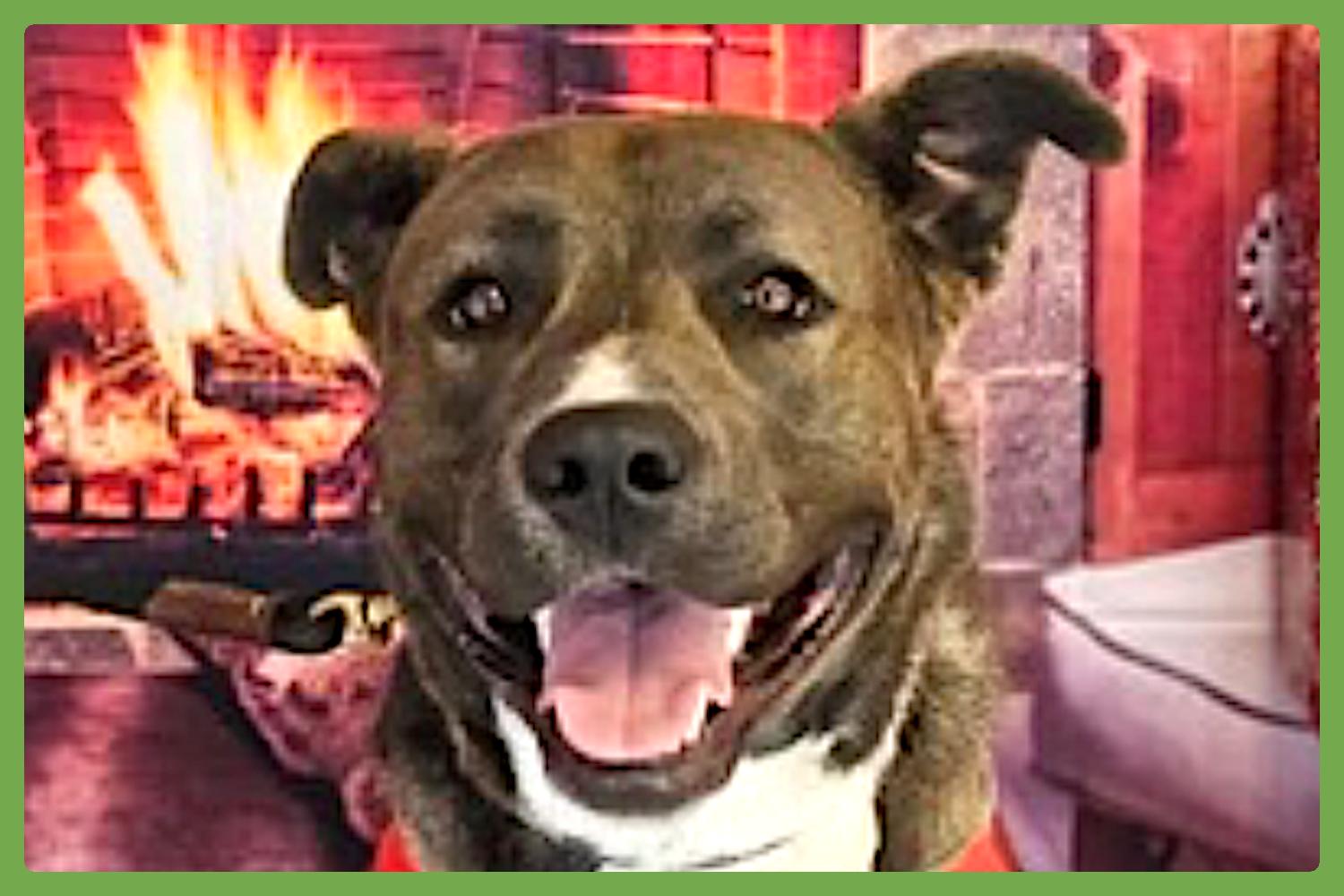 Whiskey — thumbnail 2