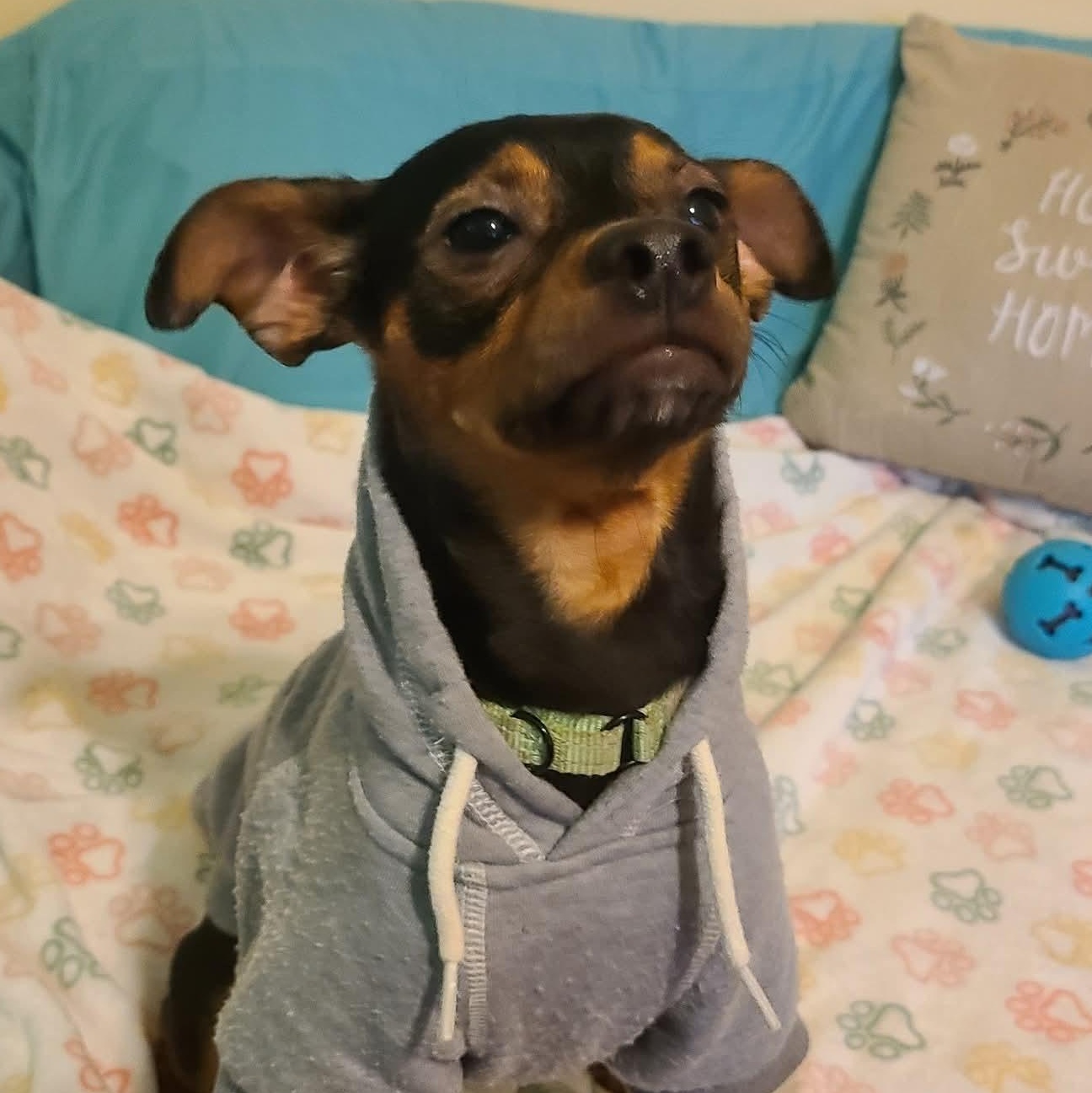 Ricky 2