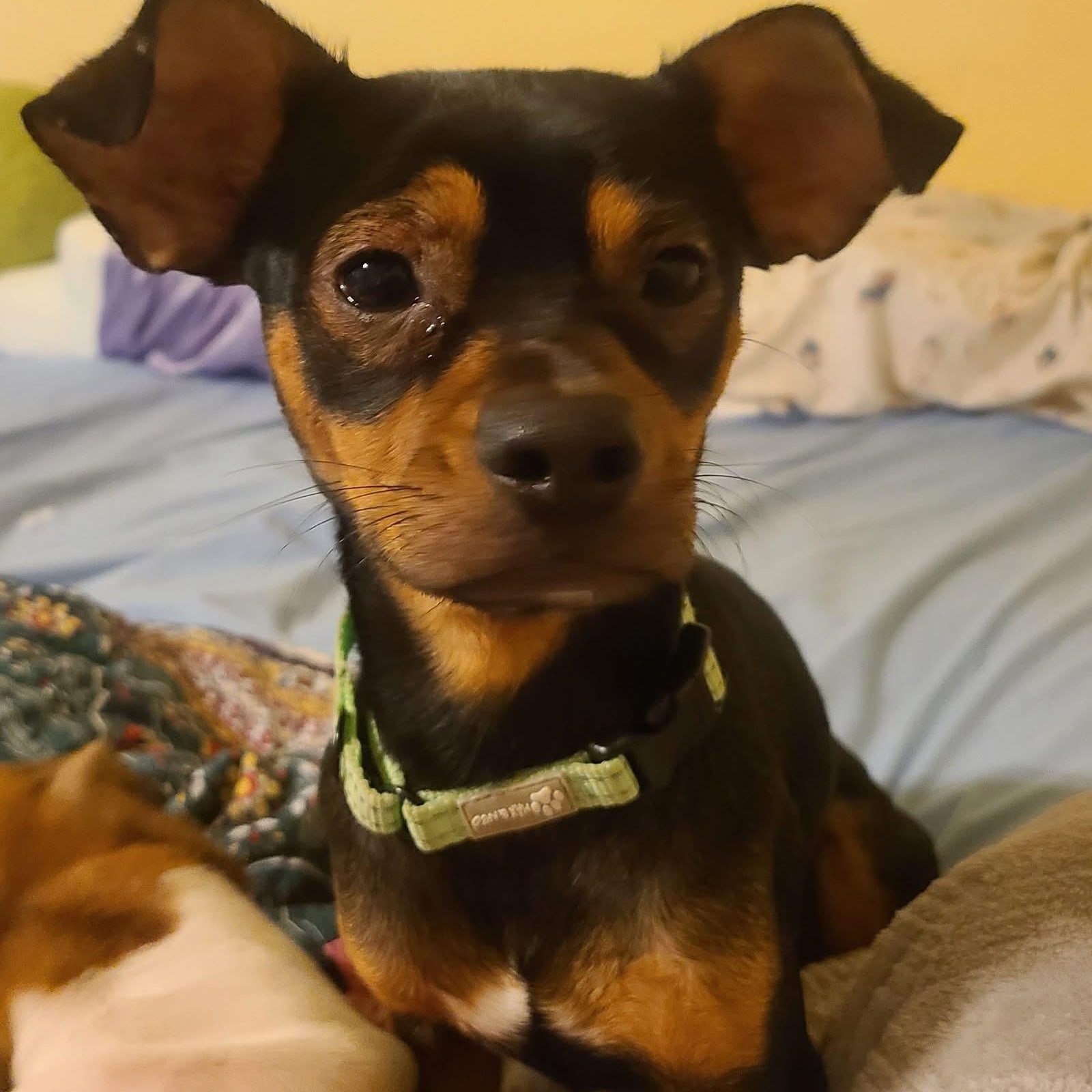 Ricky