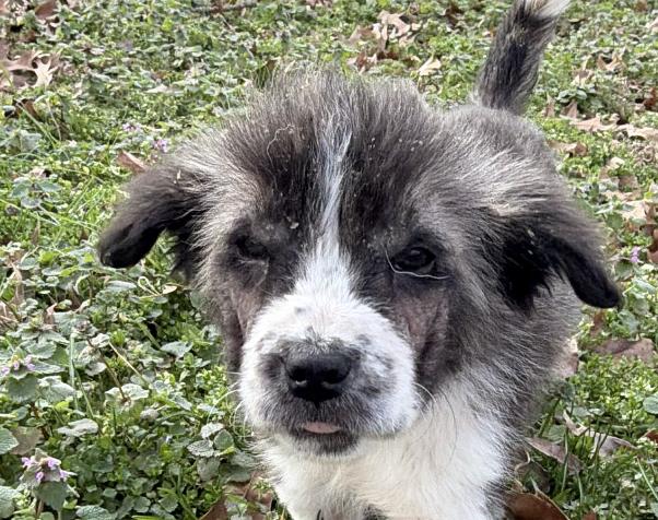 Harbor Spunky — thumbnail 4