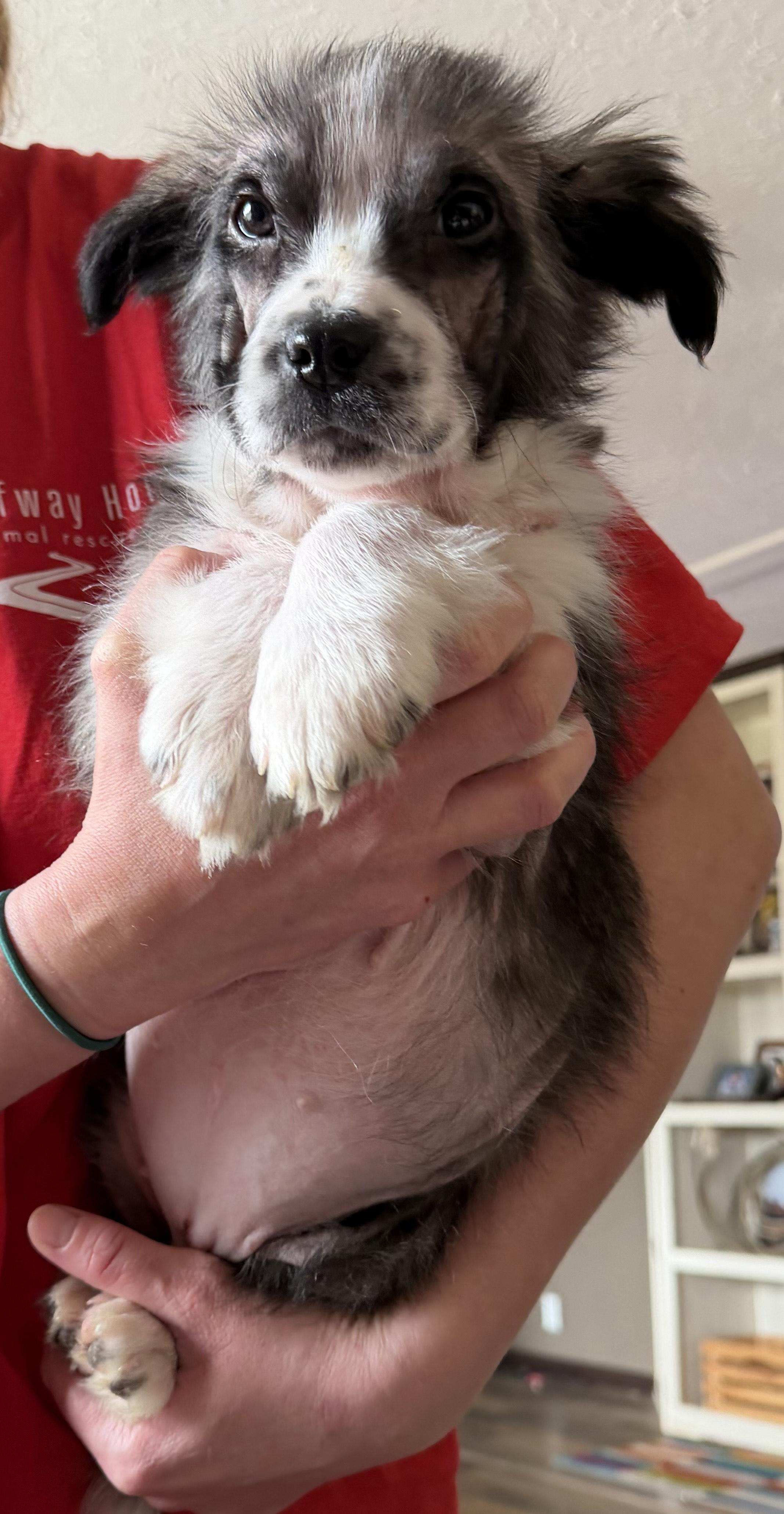 Harbor Spunky — thumbnail 6