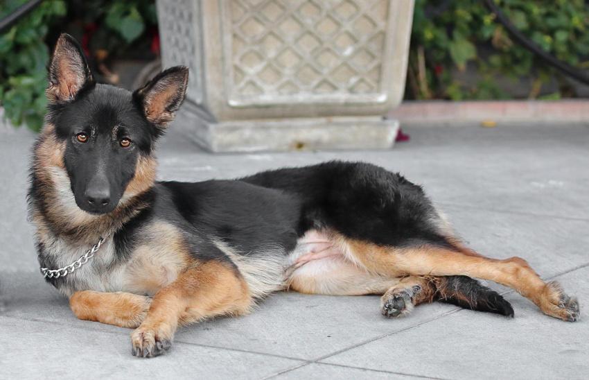 Tina Von Silvan thumbnail 5