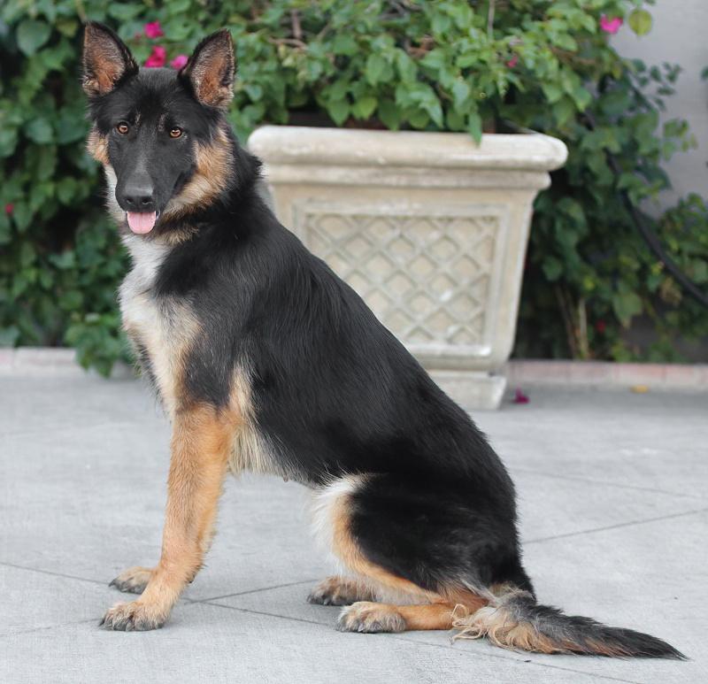 Tina Von Silvan thumbnail 4