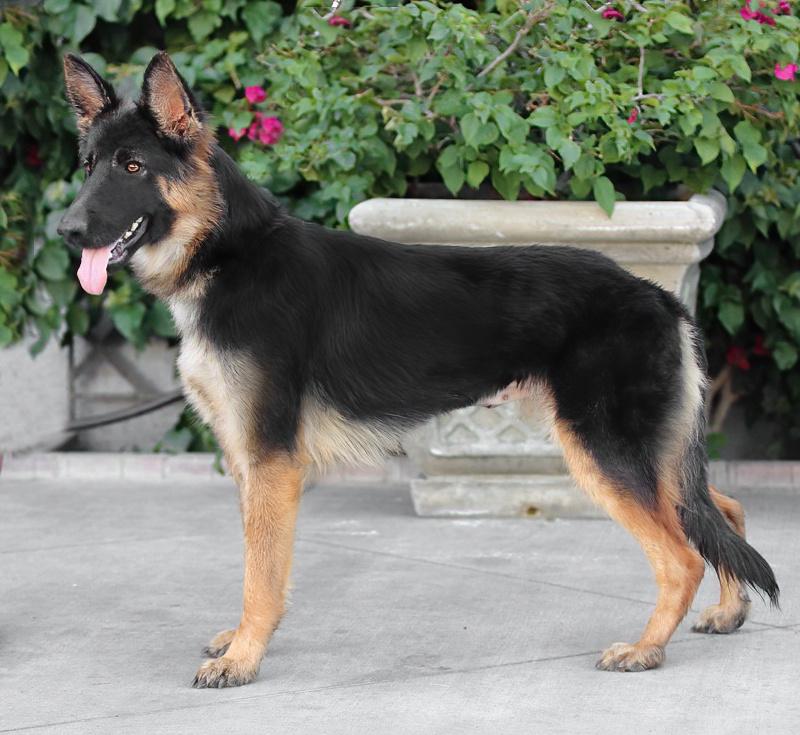 Tina Von Silvan thumbnail 6