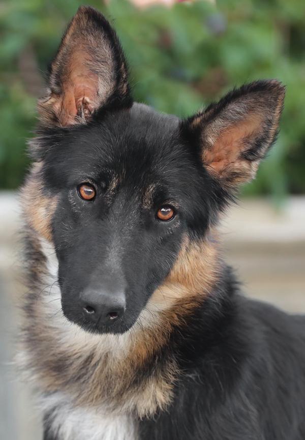 Tina Von Silvan thumbnail 3