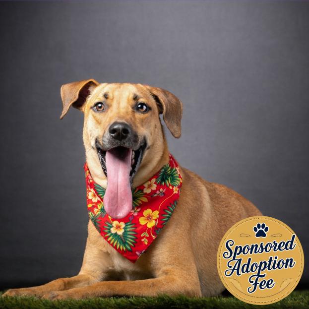 Purdue — thumbnail 2