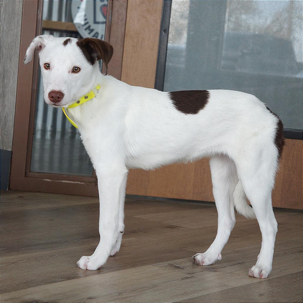 Lizzie — thumbnail 2