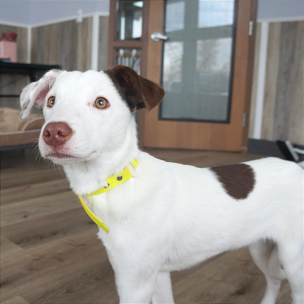 Lizzie — thumbnail 4