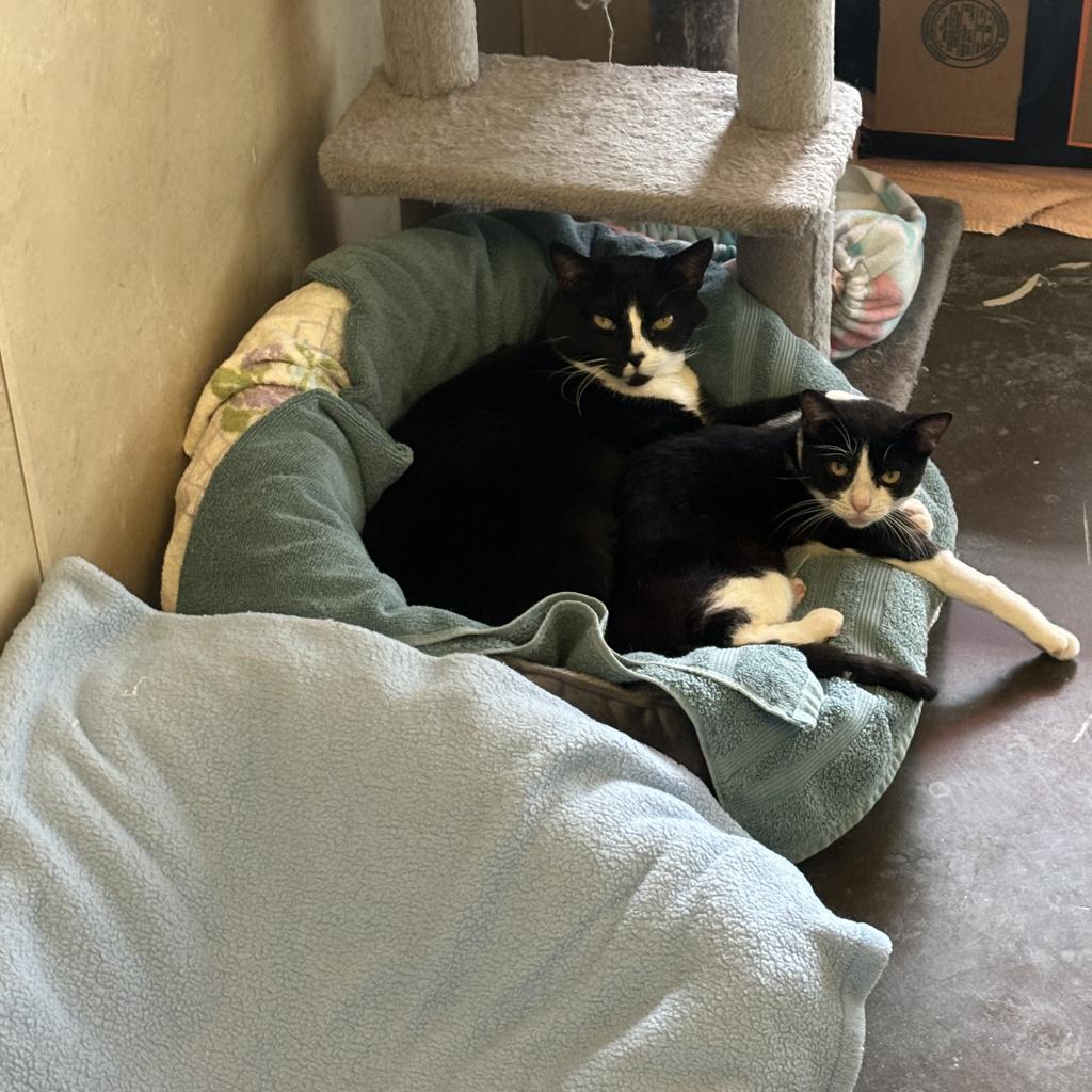 Rusty — thumbnail 2