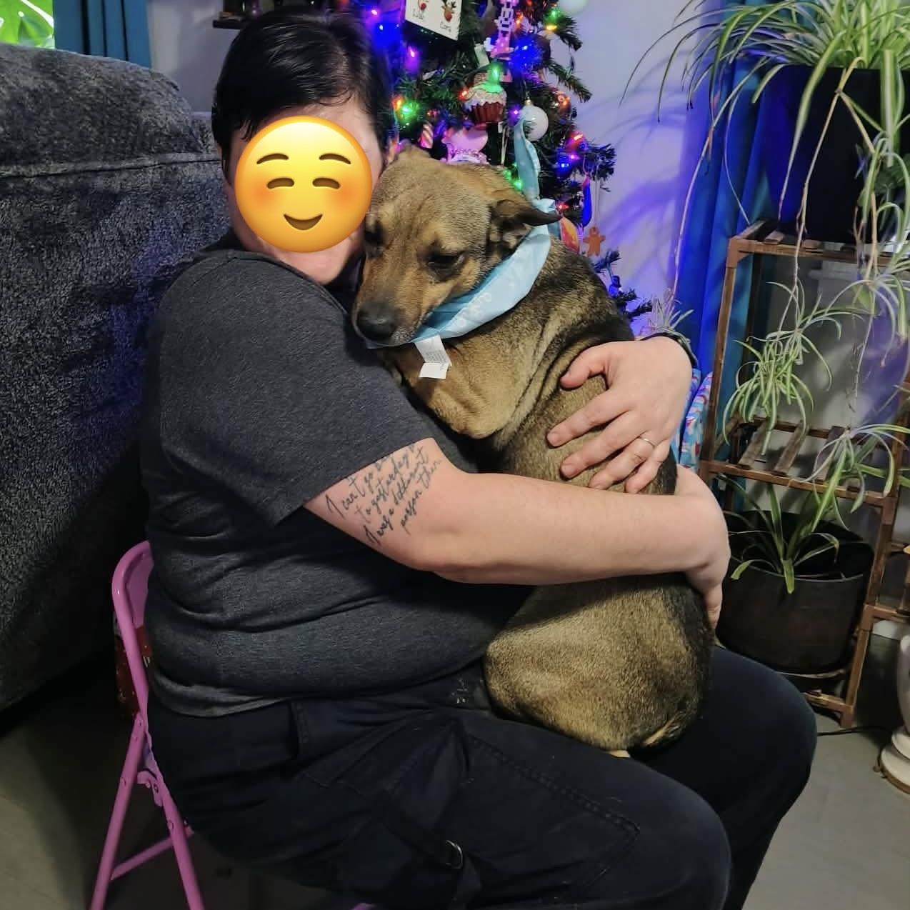 Dawson aka Buddy (20251011-01) — thumbnail 2